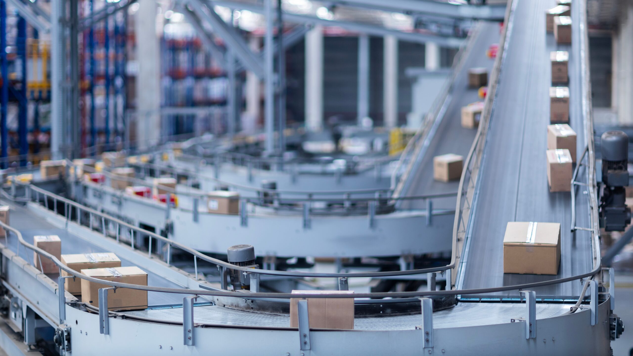 Foto: Buonnaventura / Shutterstock