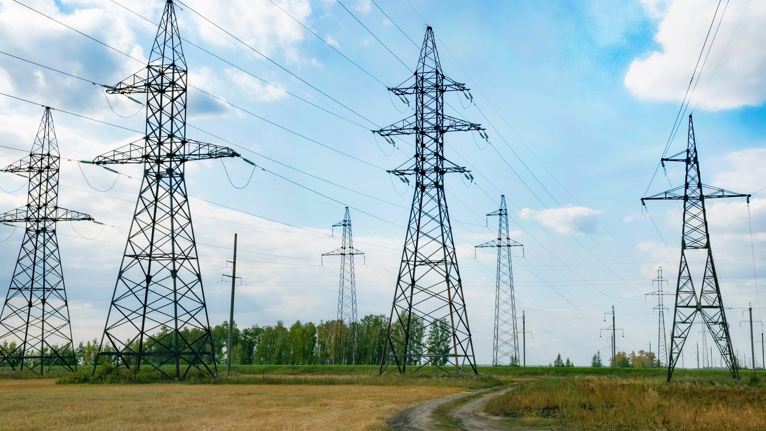 Foto: svetlaya_strana_omsk / Shutterstock