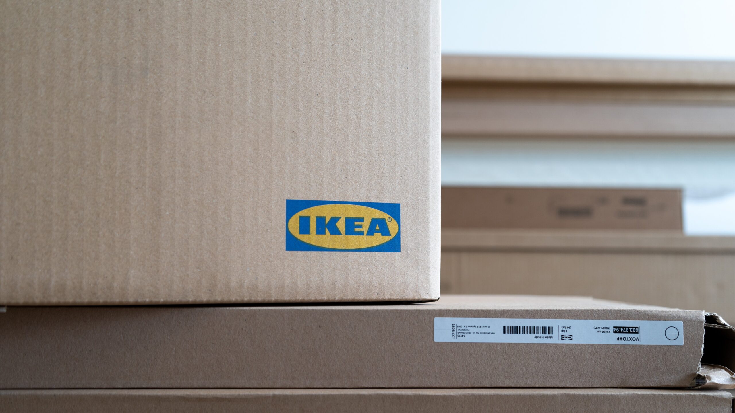 Foto: Longfin Media / Shutterstock