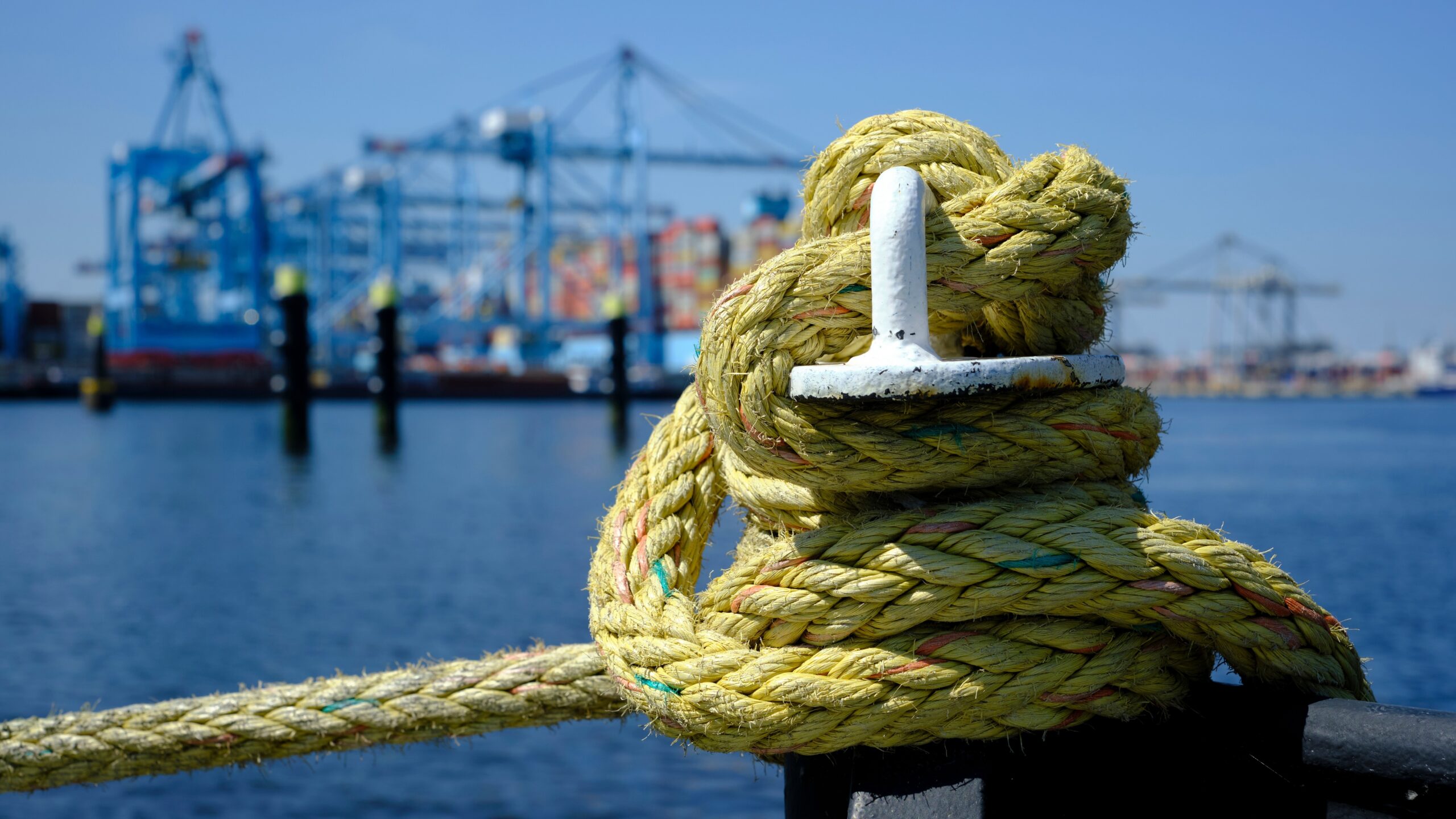 Foto: Tjeerd Kruse / Shutterstock