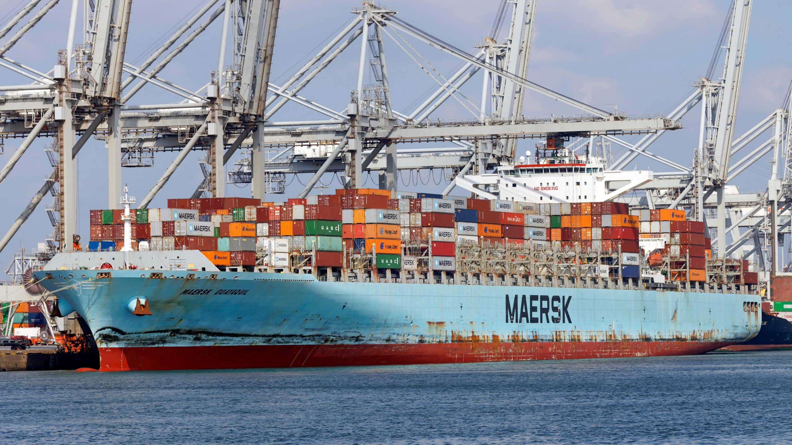 Foto: MartinLueke / Shutterstock