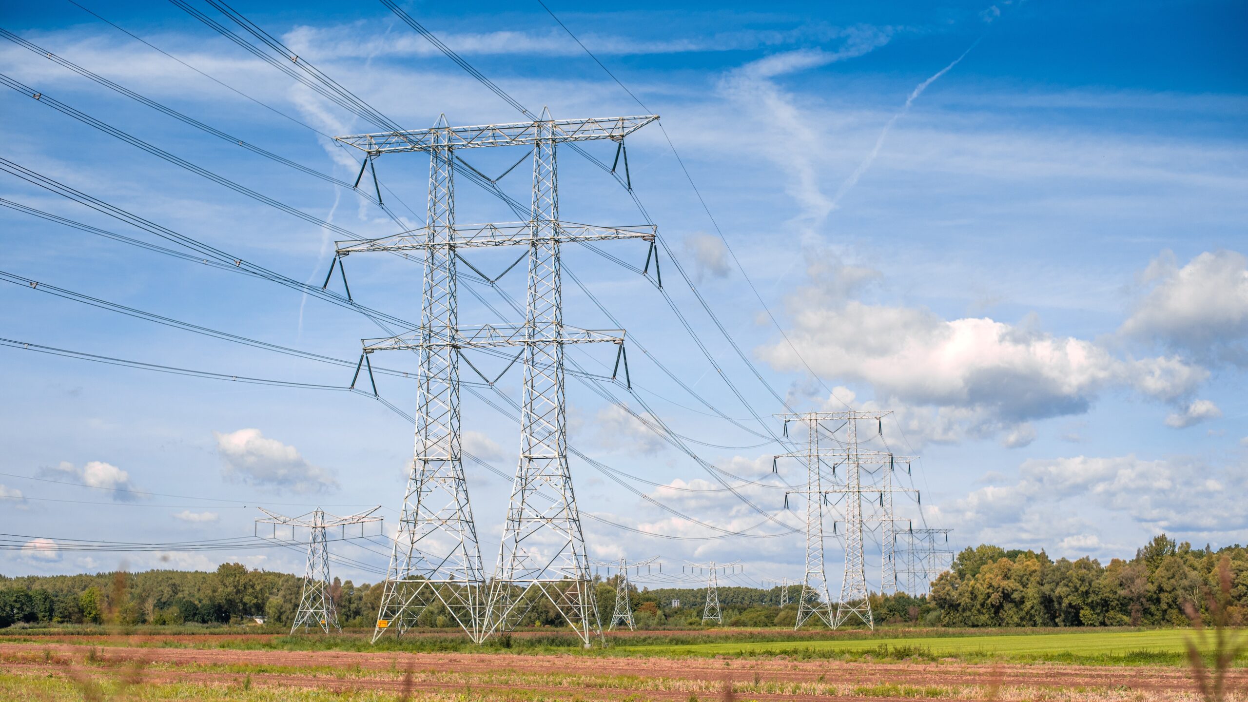 Foto: SV34D / Shutterstock