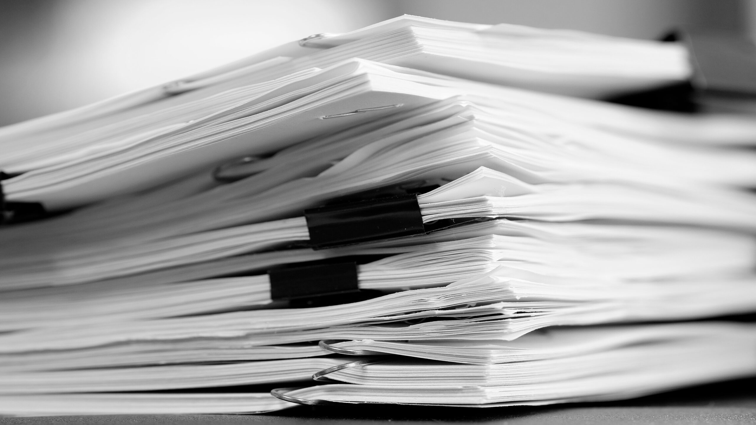 Foto: Lane V. Erickson / Shutterstock