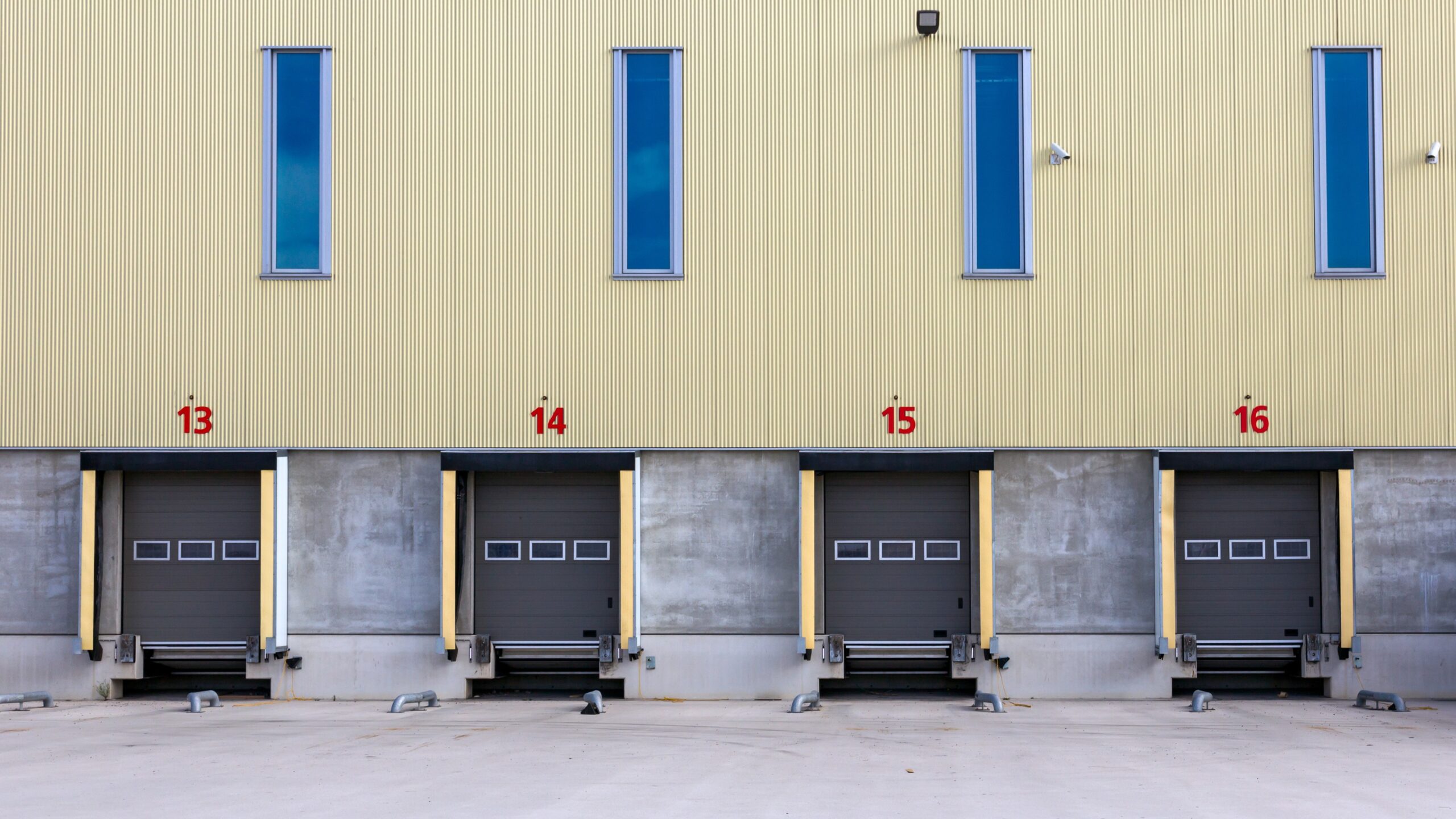 Foto: VanderWolf Images / Shutterstock