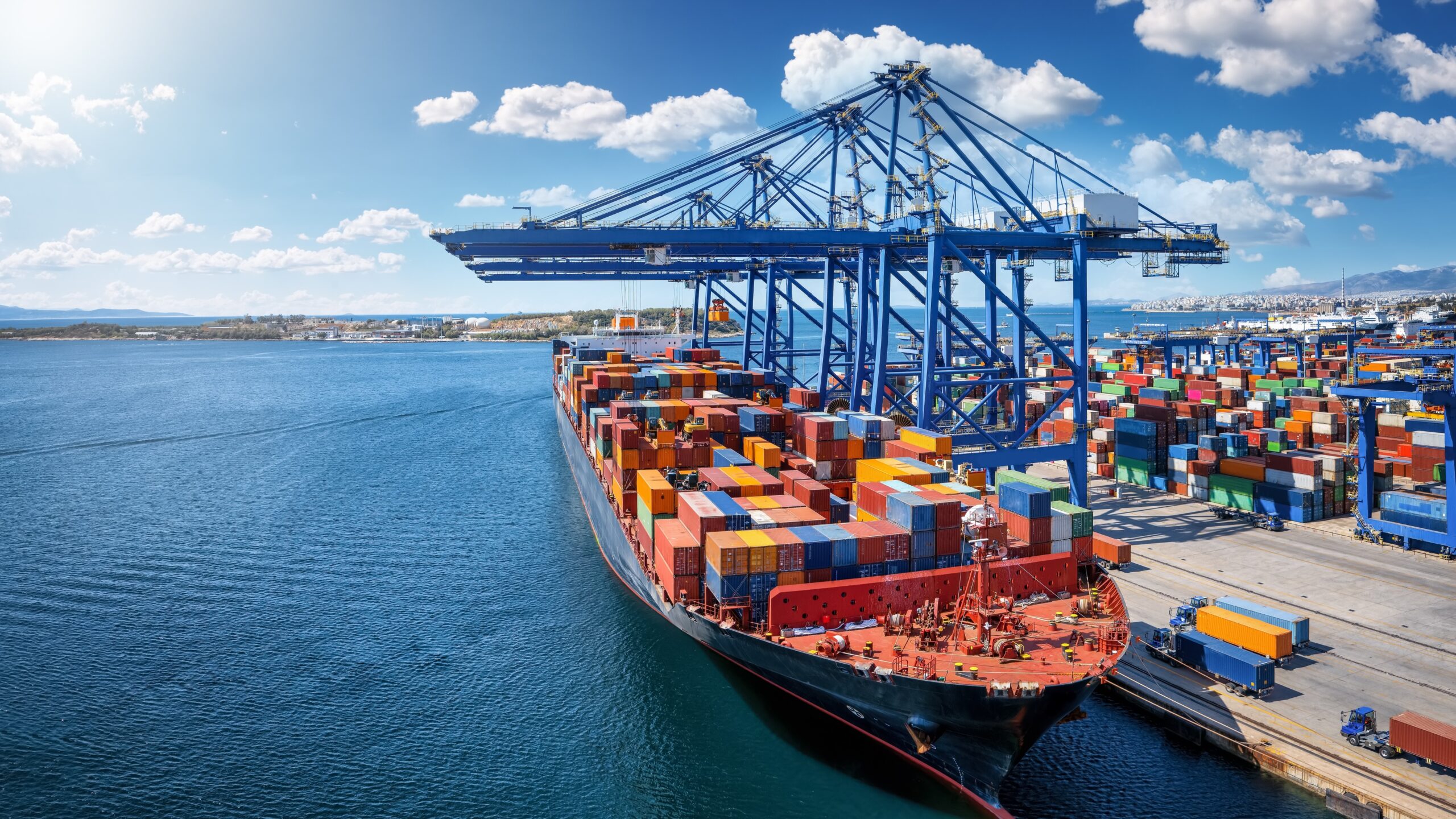 Foto: Sven Hansche / Shutterstock