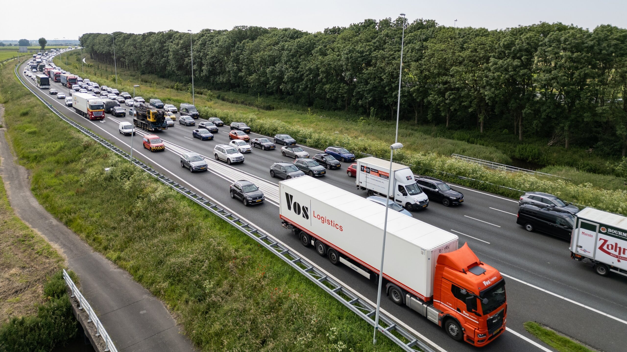 Foto: Drew McArthur / Shutterstock