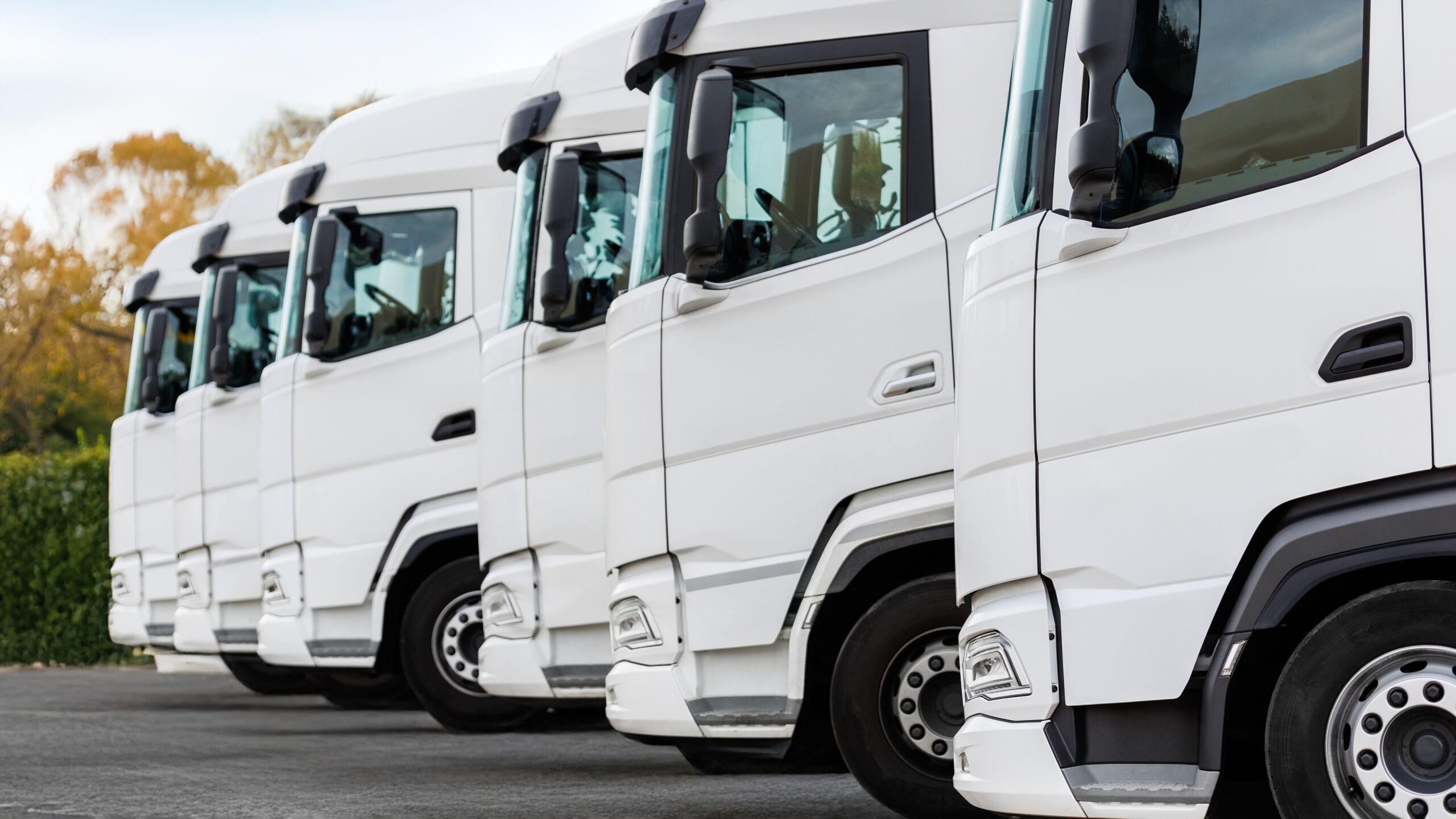 Foto: K-FK / Shutterstock