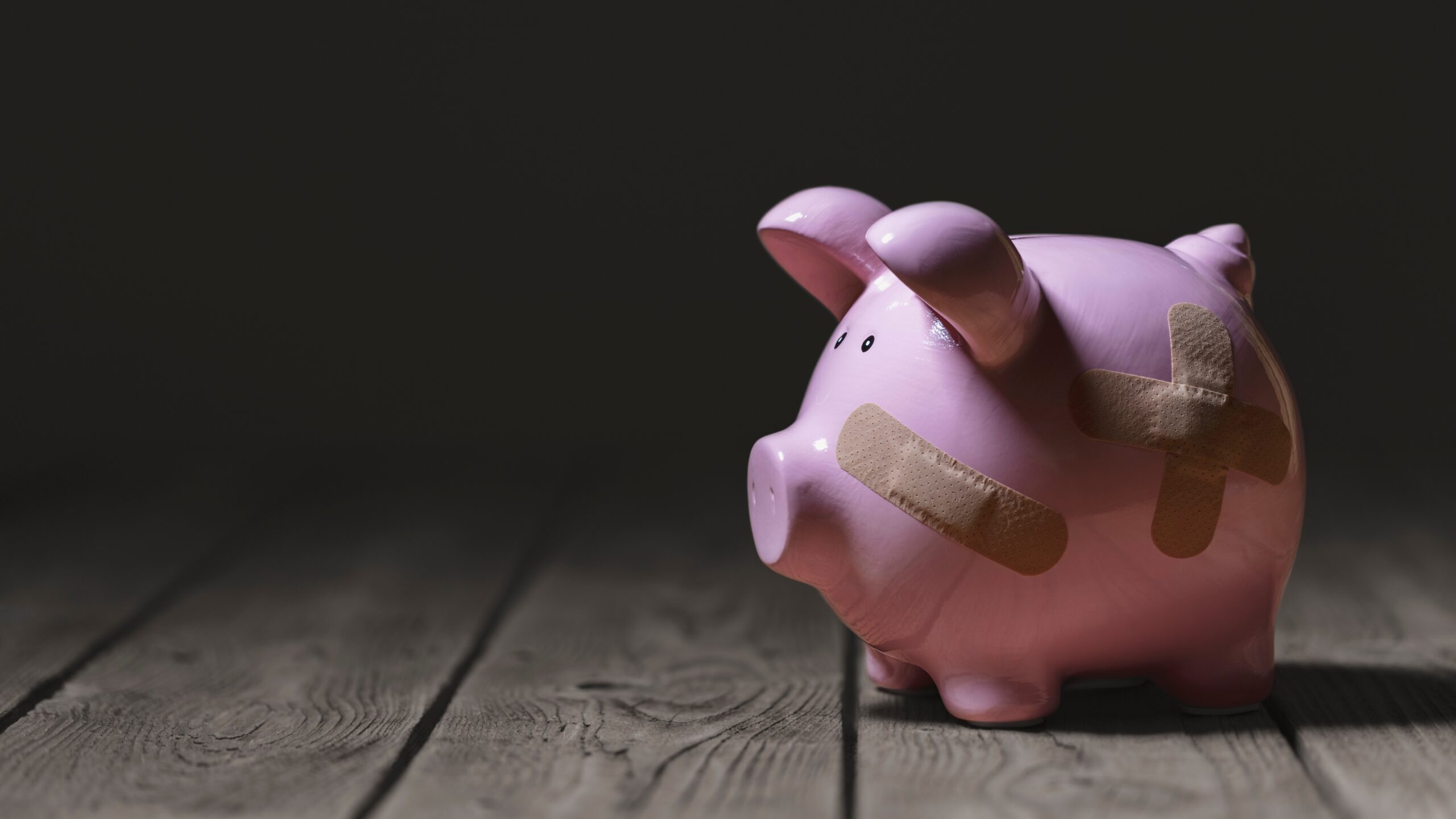 Foto: Brian A Jackson / Shutterstock