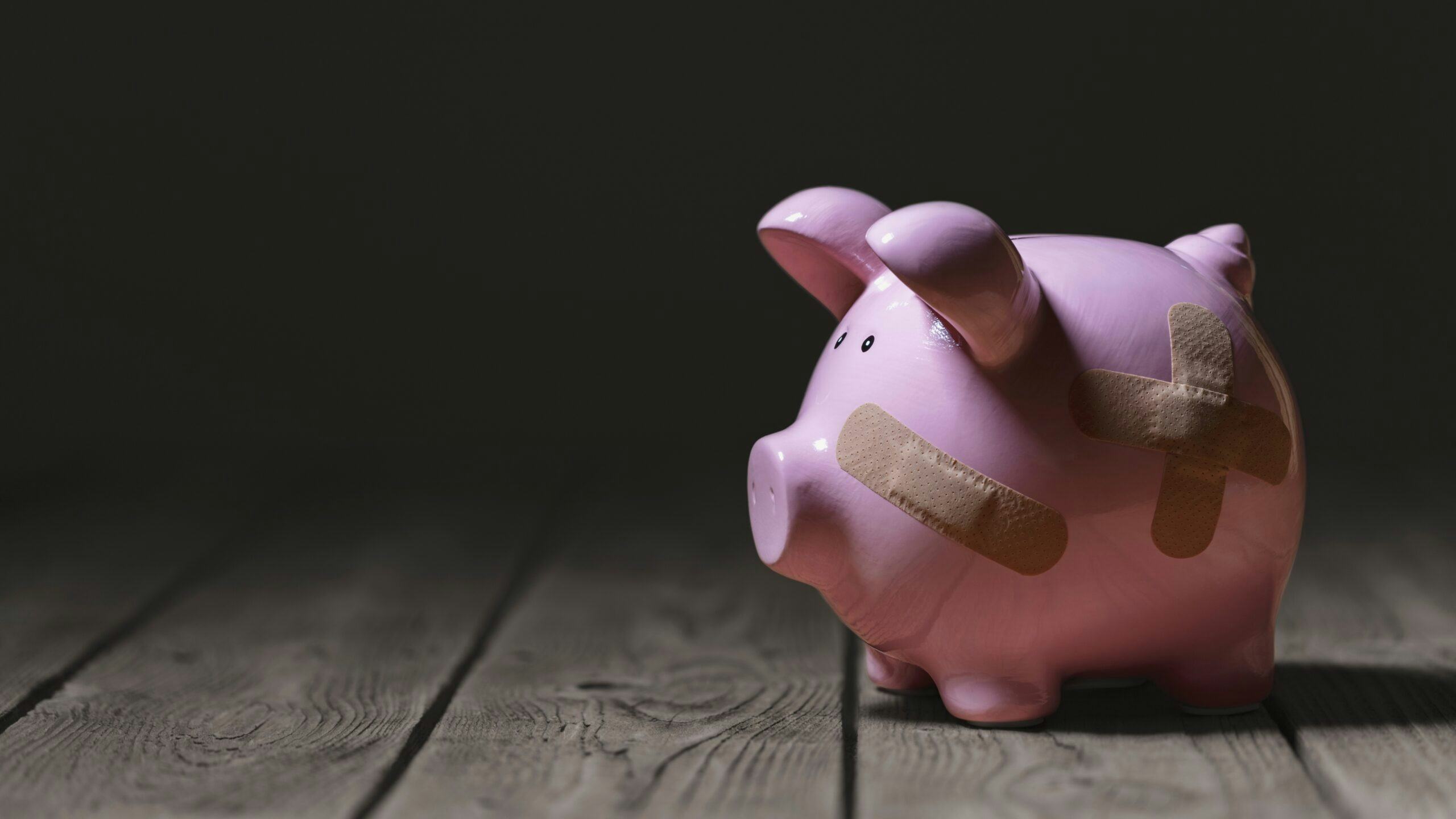 Foto: Brian A Jackson / Shutterstock