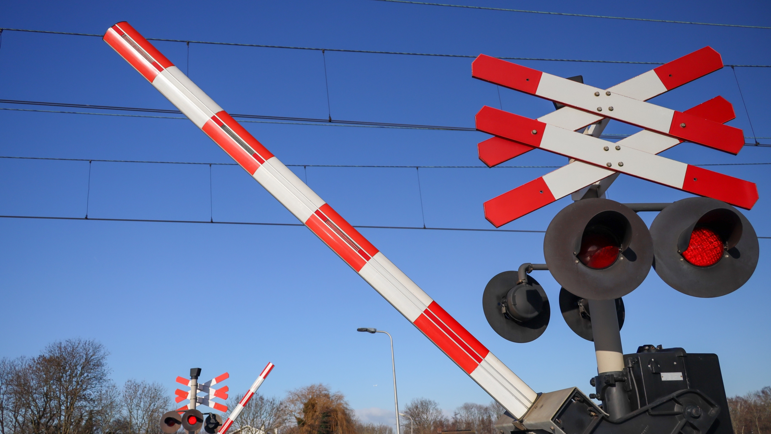 Foto: Andre Muller / Shutterstock