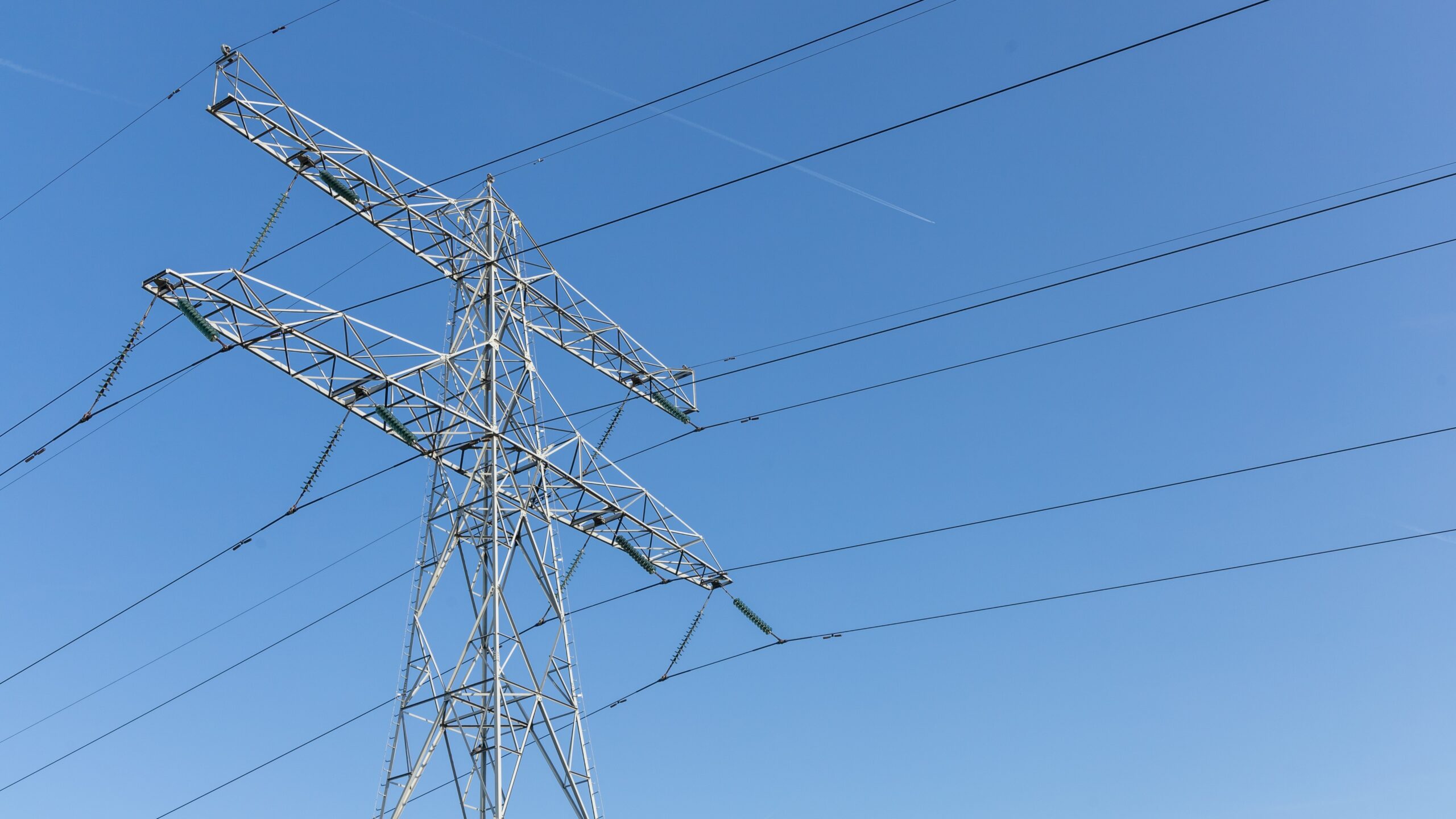 Foto: PixelBiss / Shutterstock