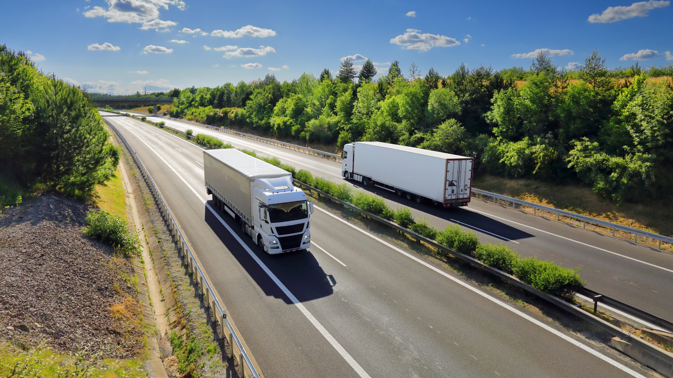 Foto: Jaroslav Pachy sr / Shutterstock