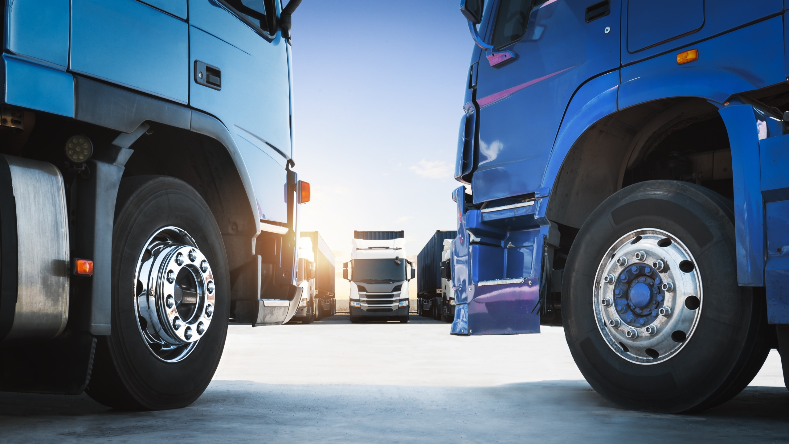 Foto: Siwakorn1933 / Shutterstock