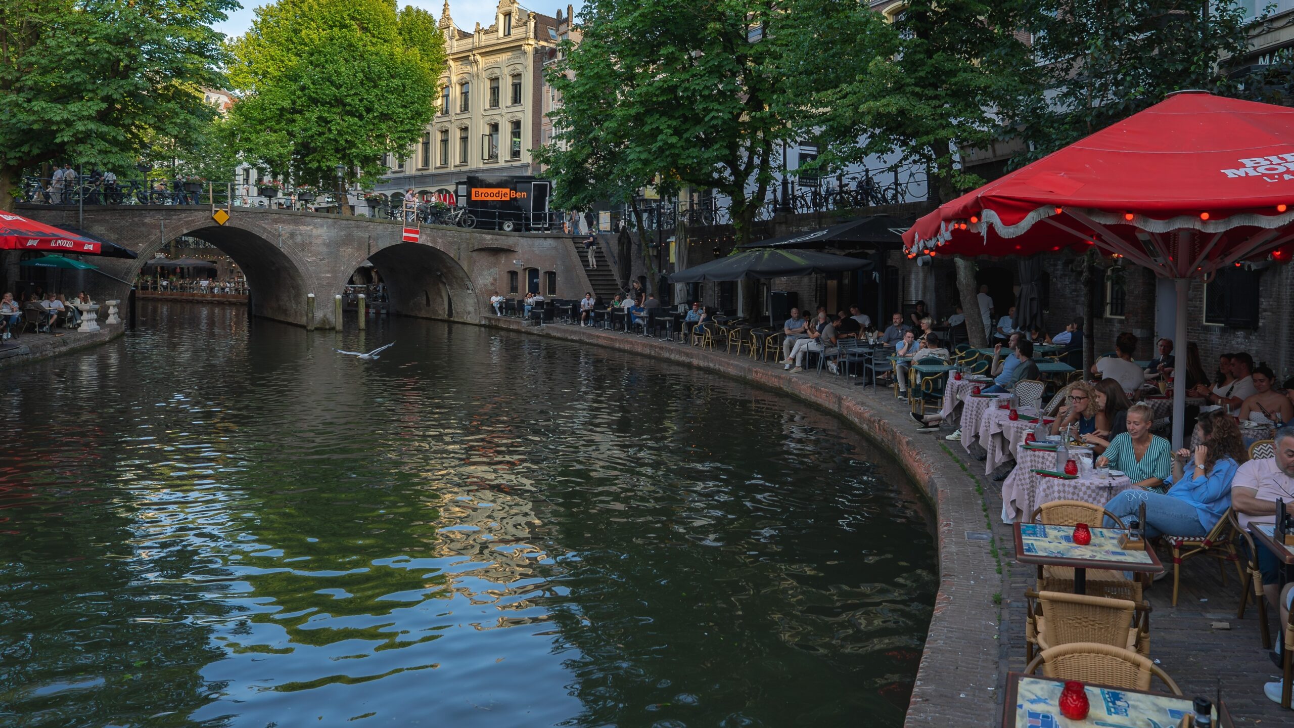 Foto: NorthSky Films / Shutterstock