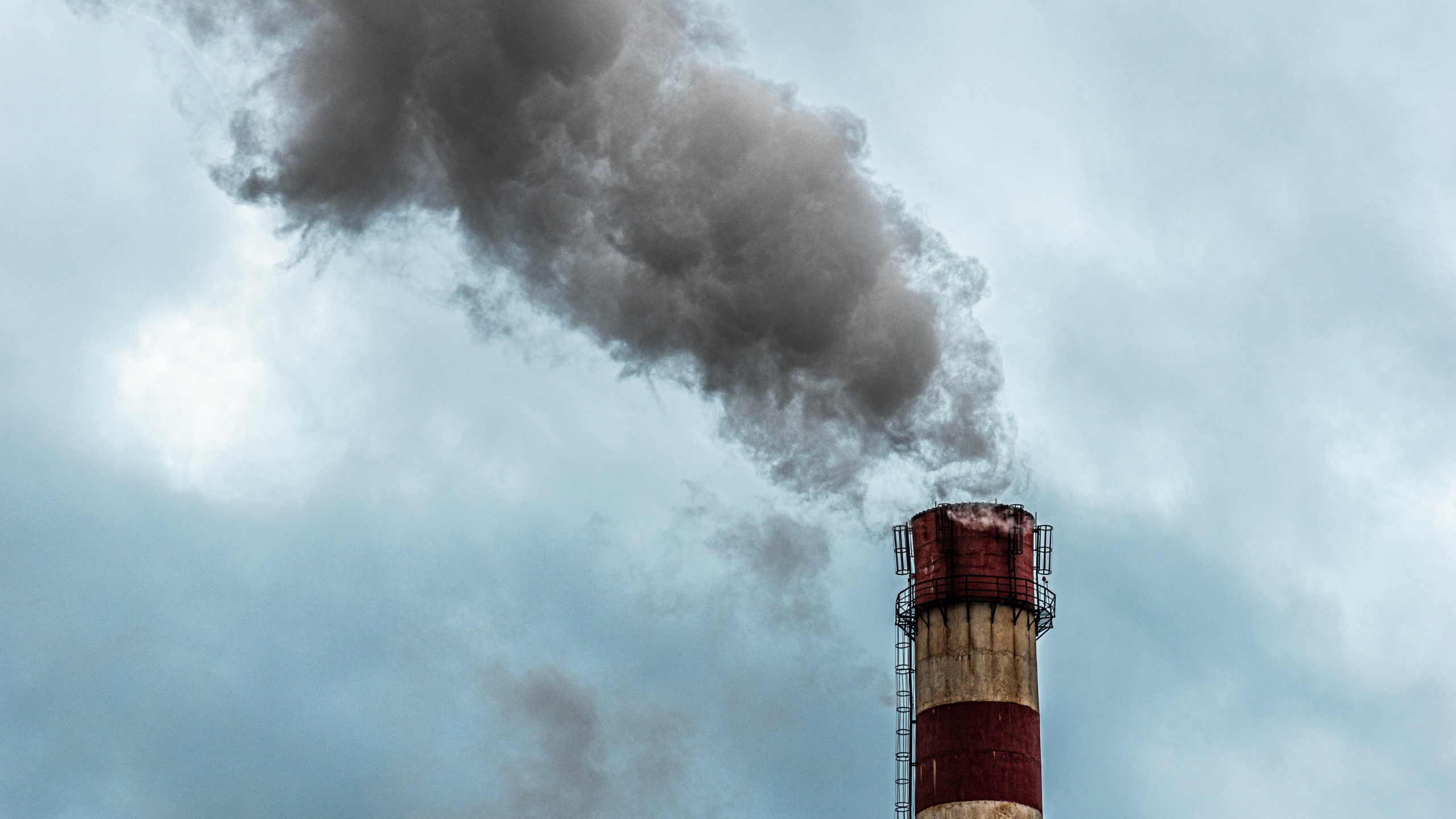 Foto: Svet foto / Shutterstock