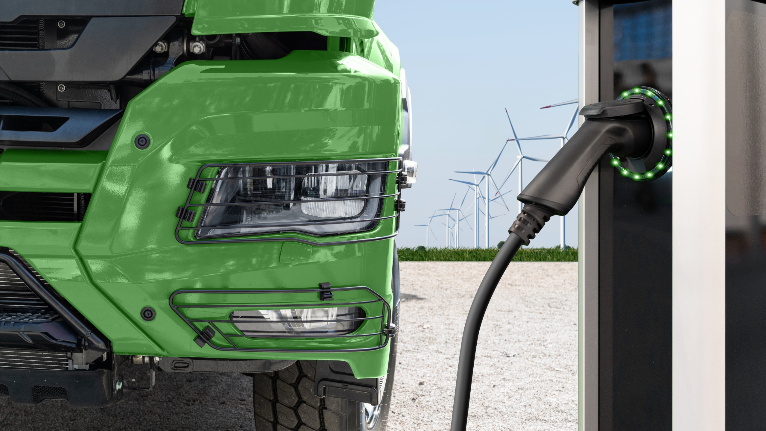 Foto: Scharfsinn / Shutterstock