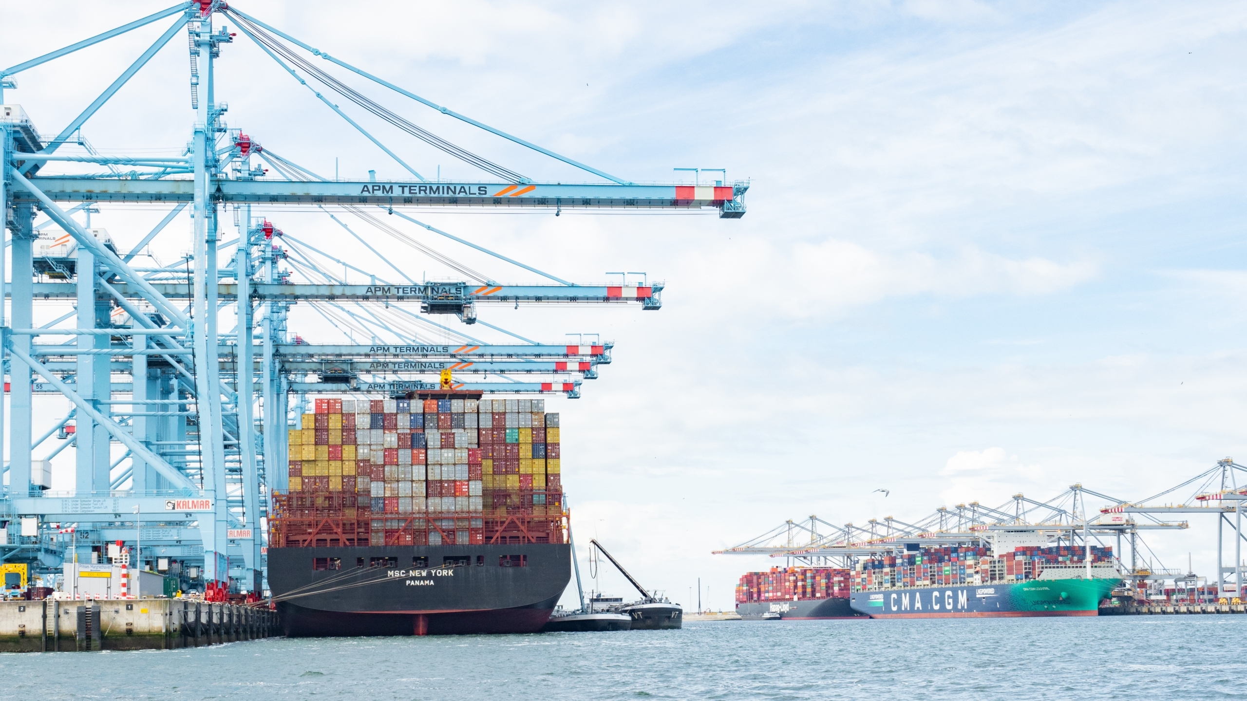 Foto: Thomas Stoiber / Shutterstock