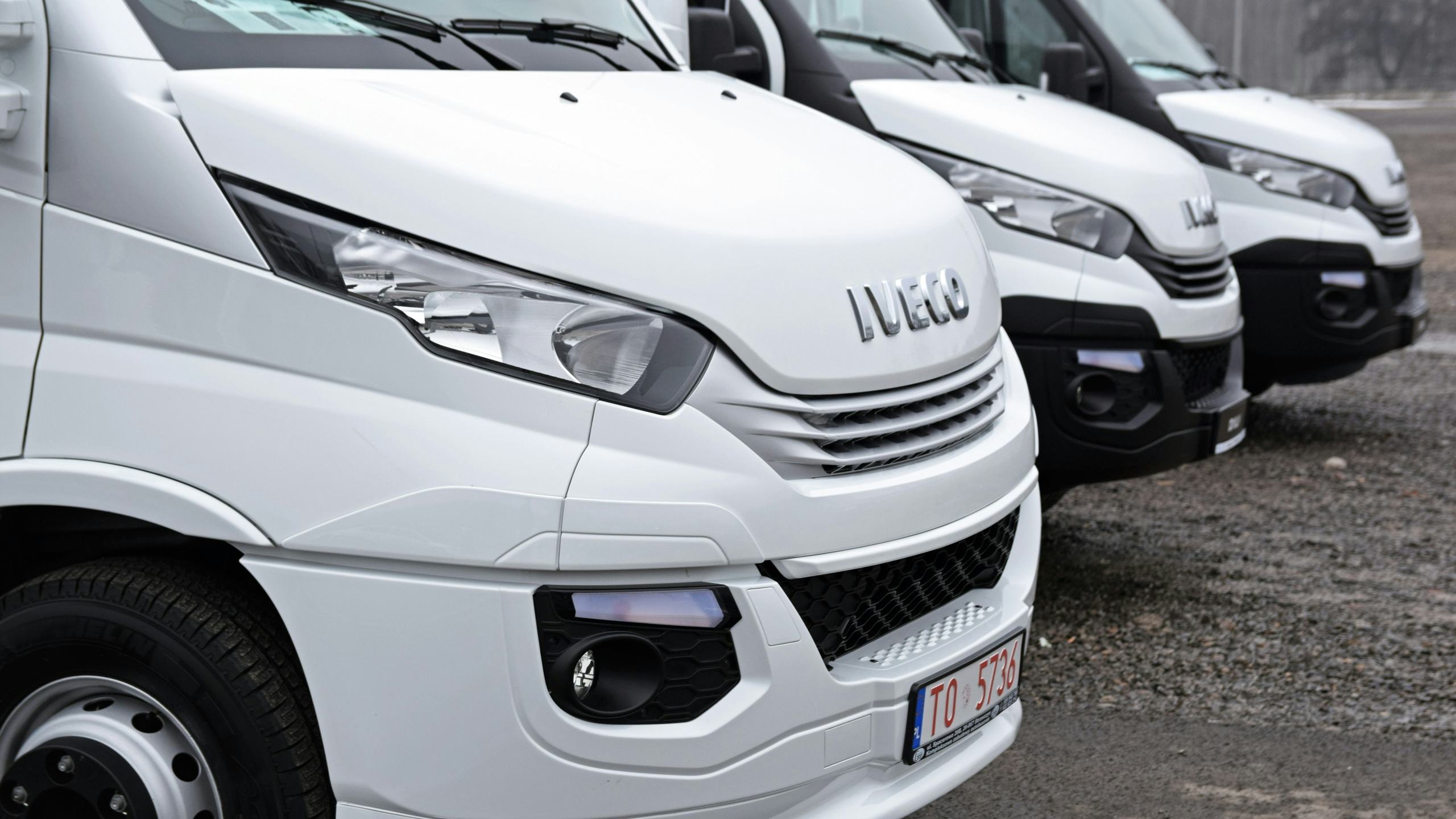 Foto: meowKa / Shutterstock