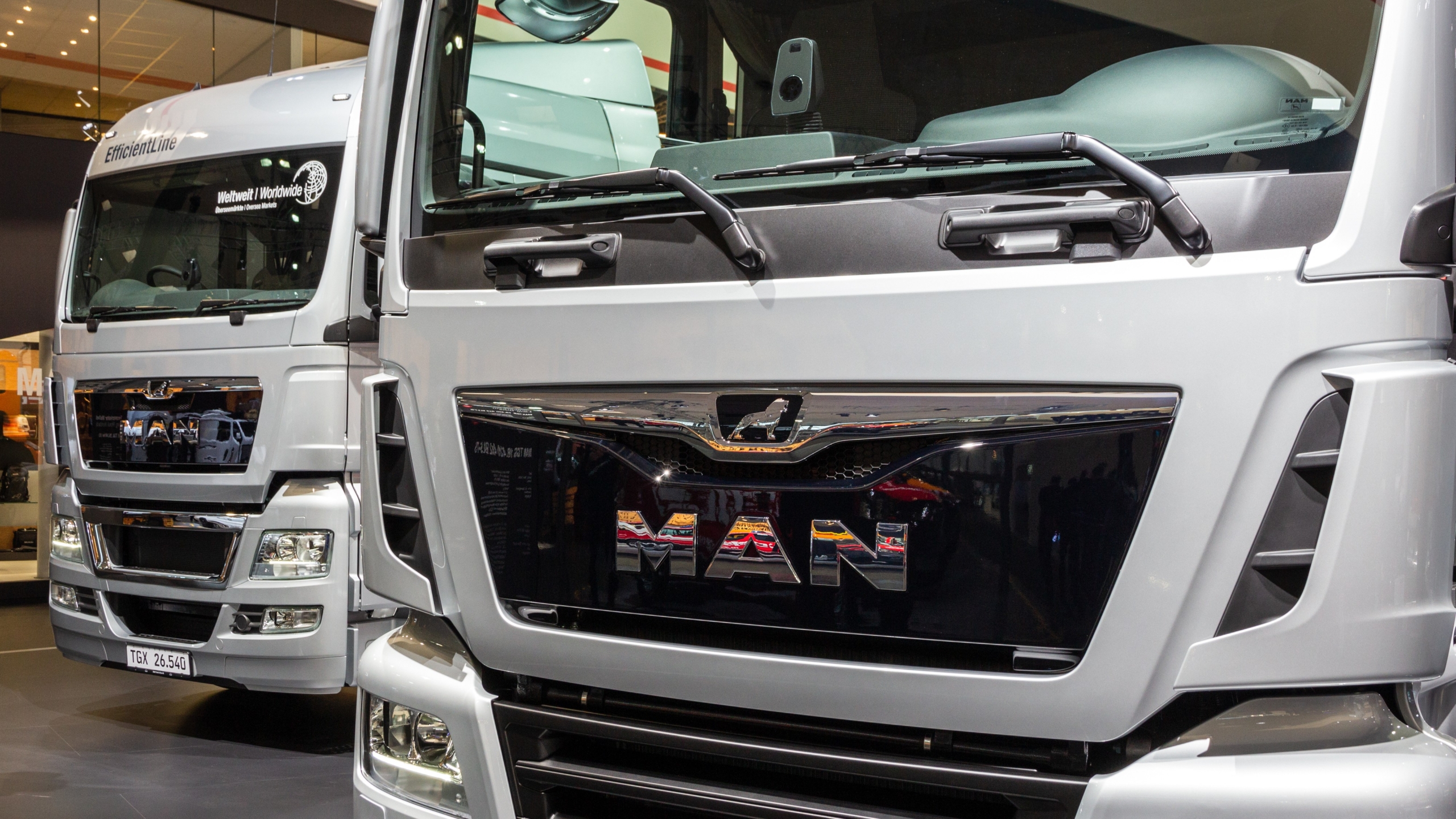 Foto: VanderWolf Images / Shutterstock