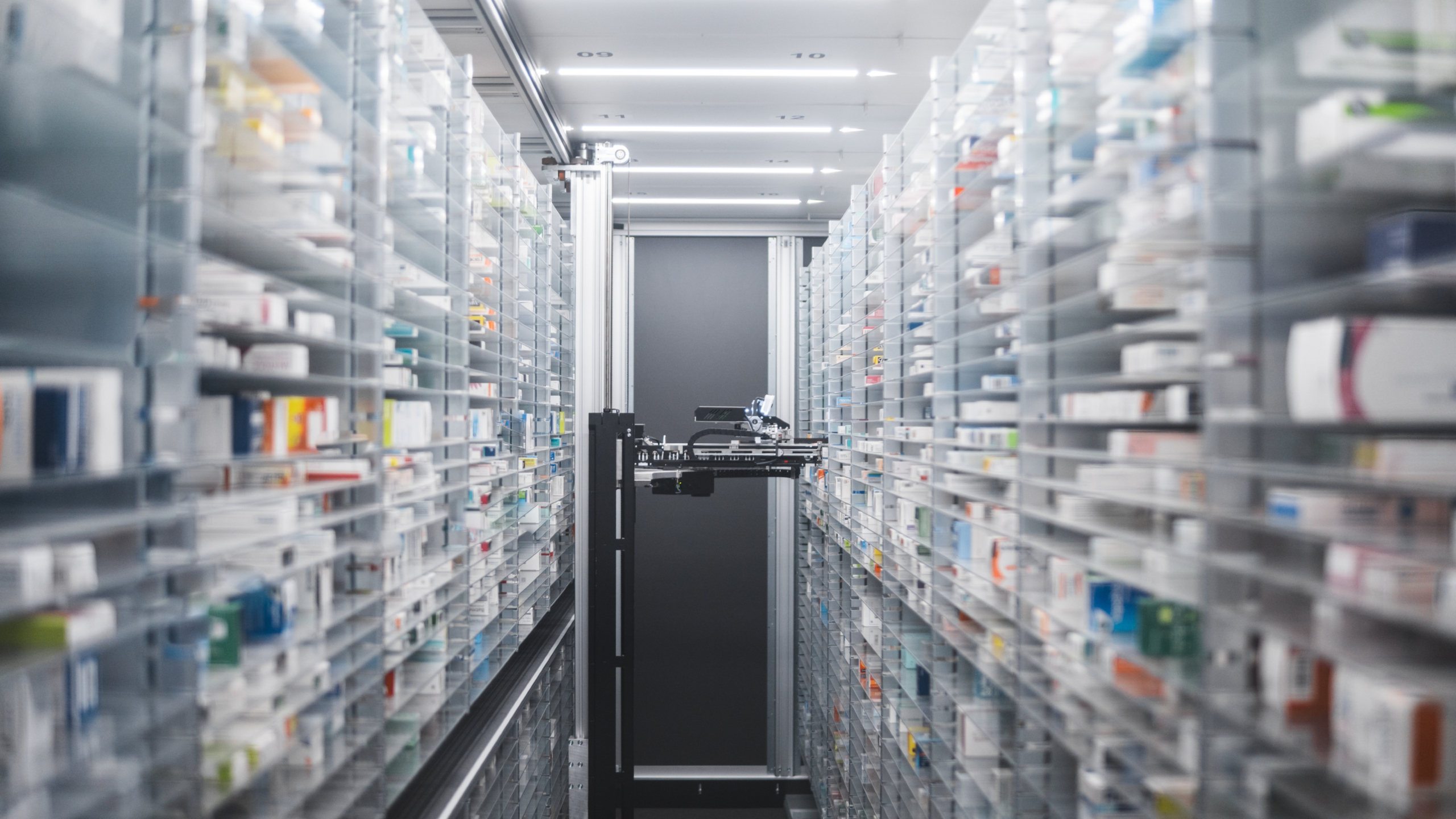 Foto: Miguelglxz / Shutterstock