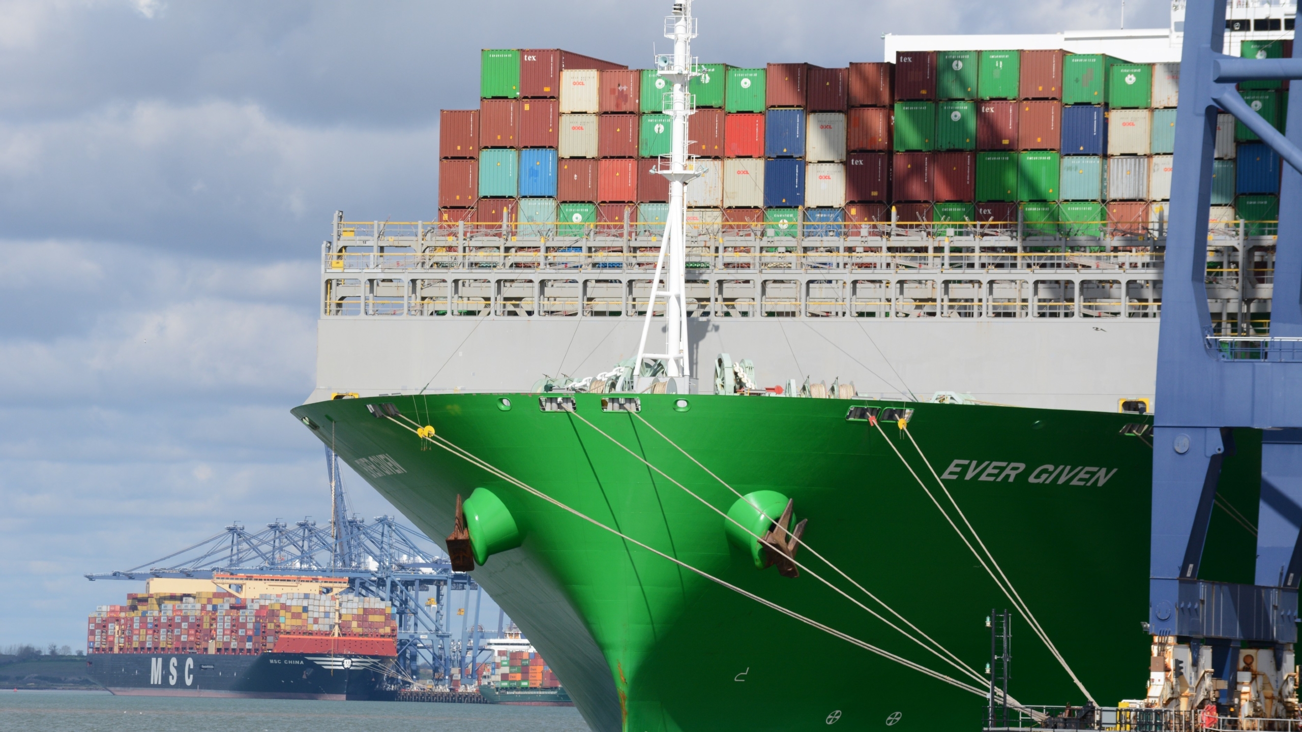 Foto: Rob Fuller / Shutterstock