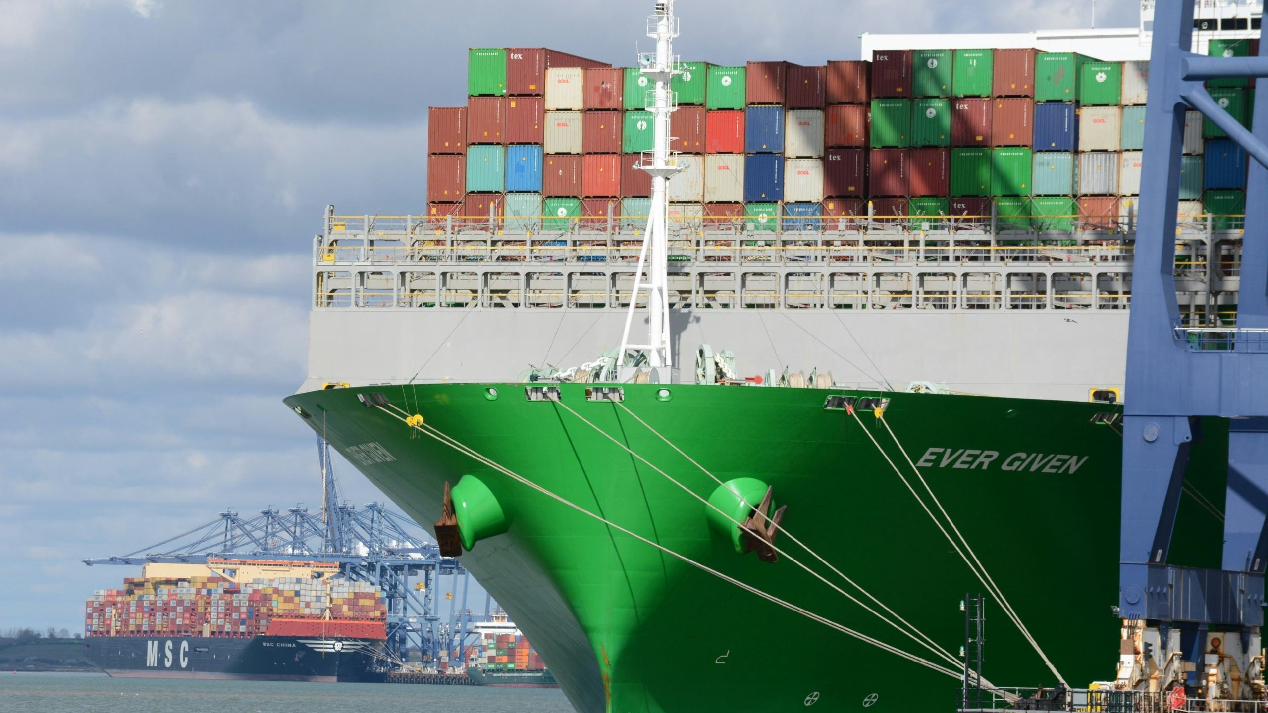 Foto: Rob Fuller / Shutterstock