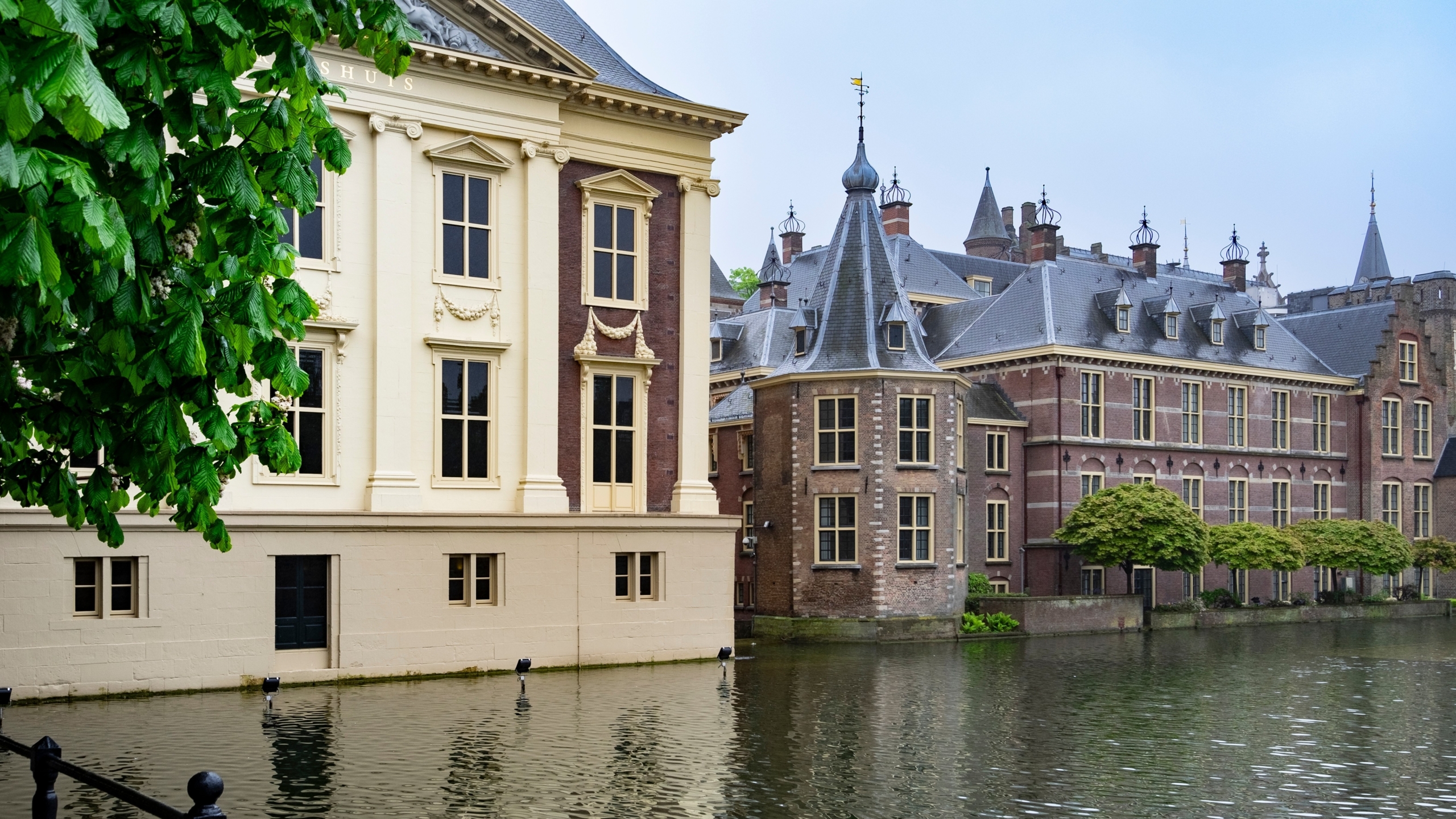 Foto: Henk Vrieselaar / Shutterstock