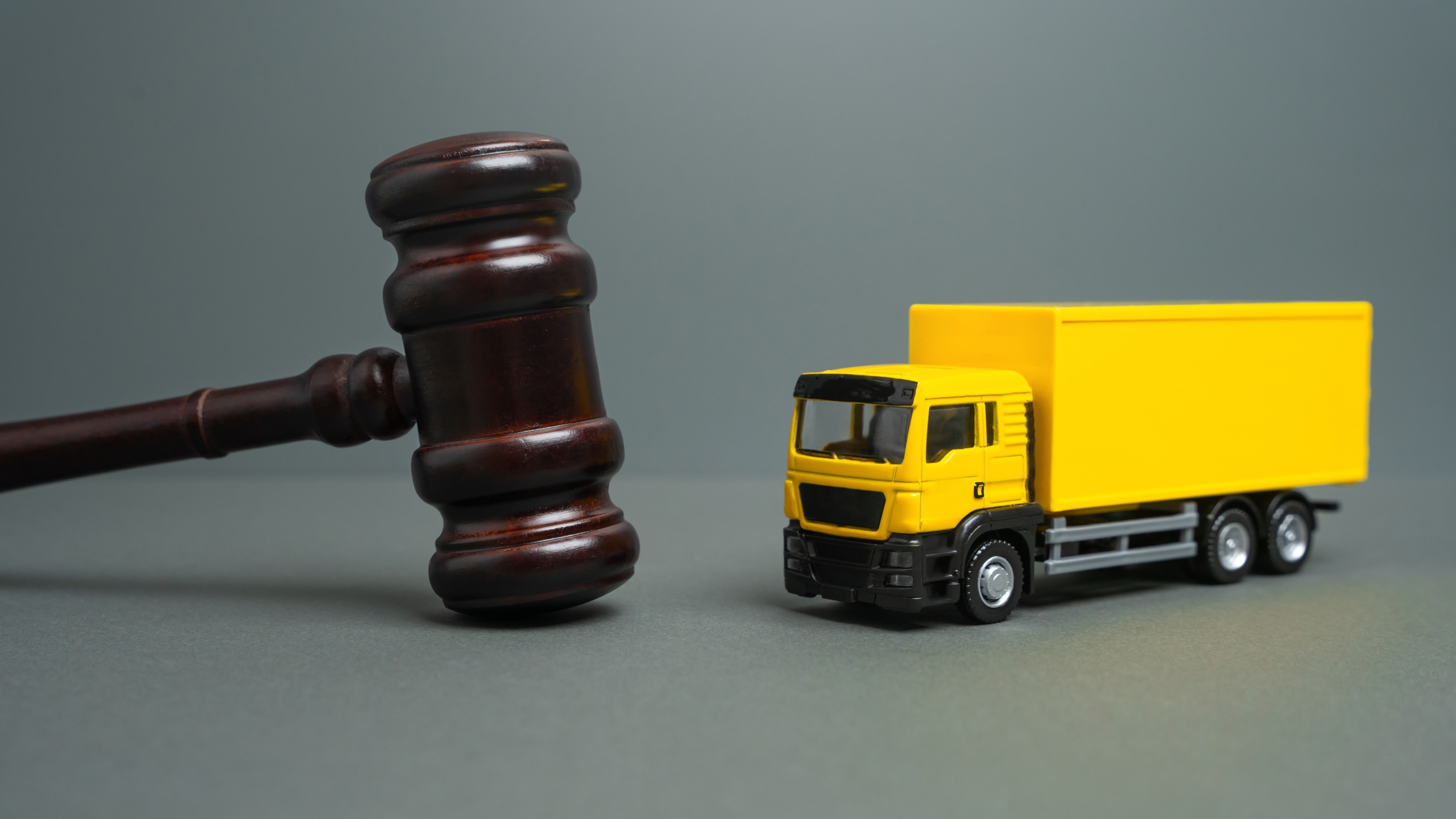 Foto: Andrii Yalanskyi / Shutterstock