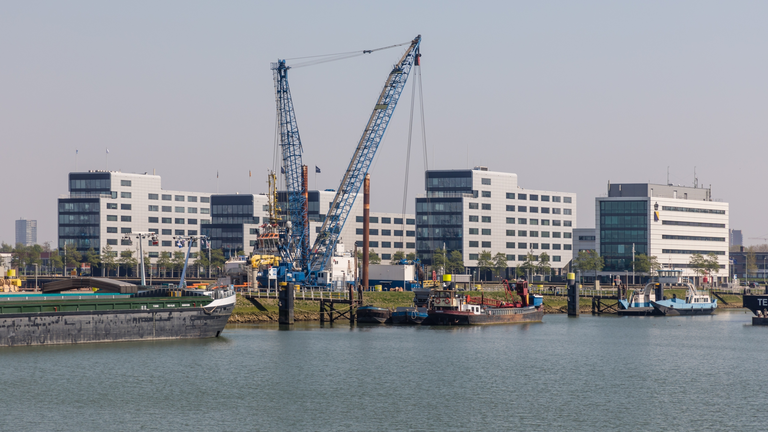 Foto: Uwe Aranas / Shutterstock