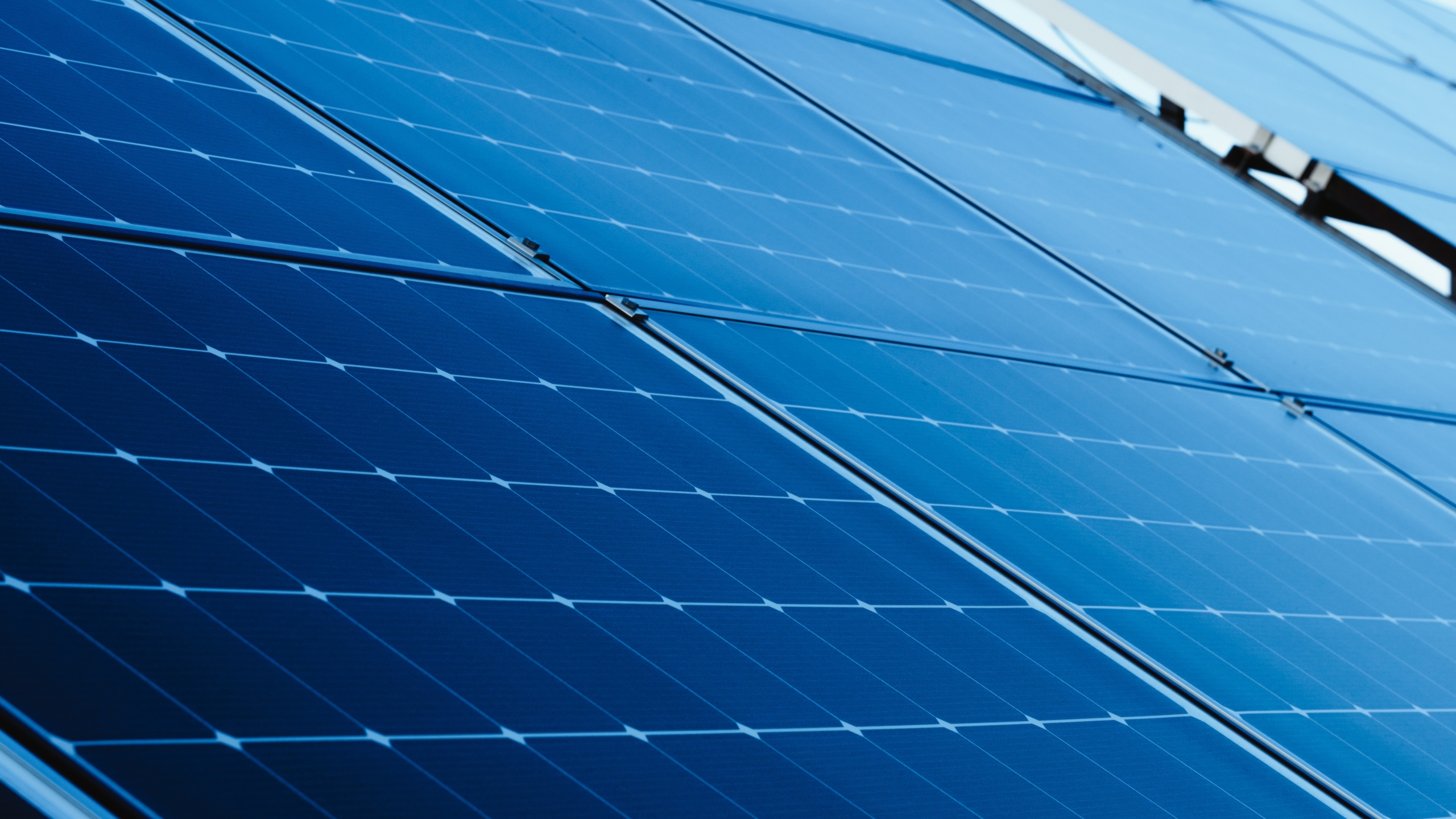 Foto: Nina Lishchuk / Shutterstock