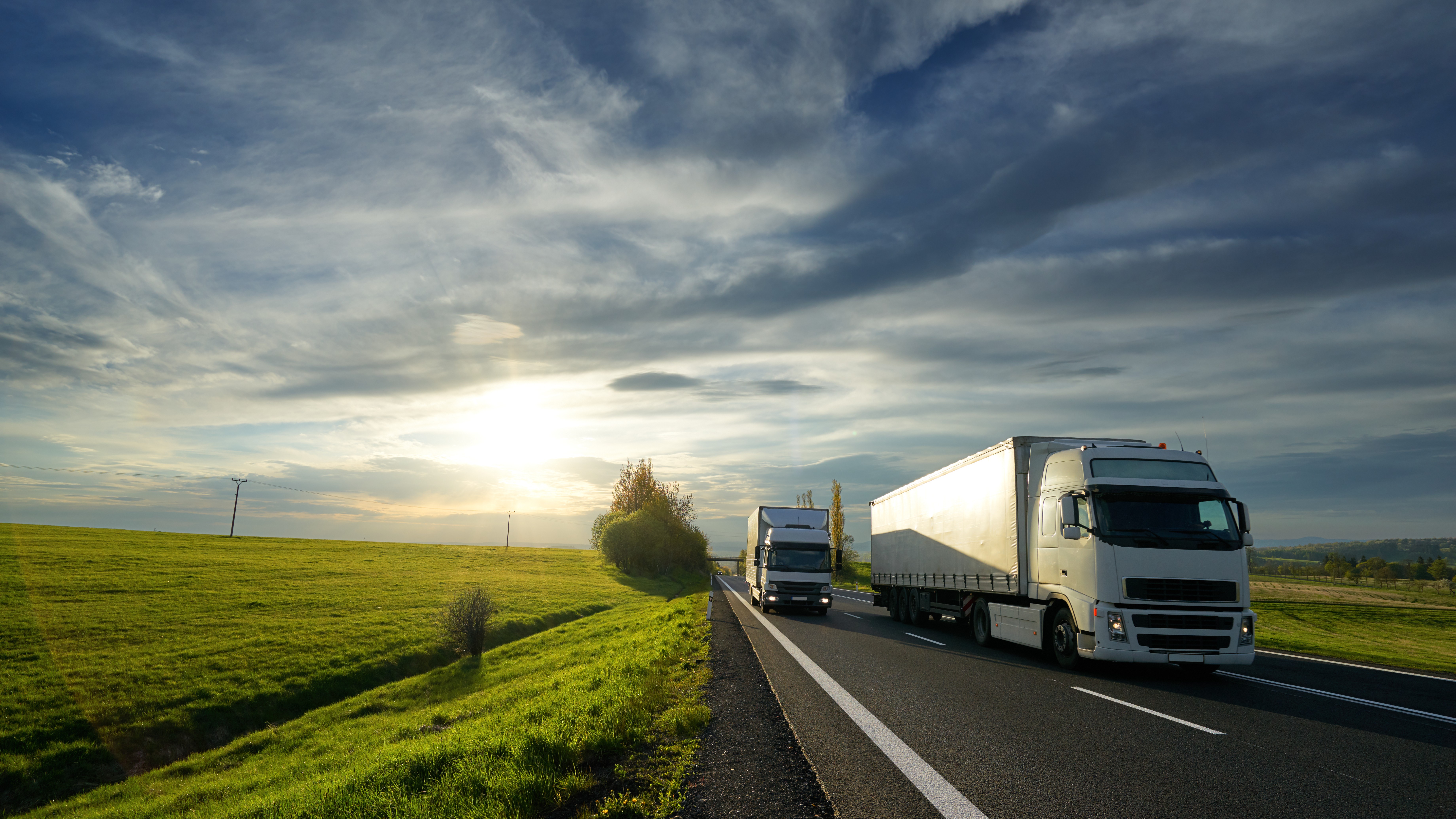 Foto: Milos Muller / Shutterstock