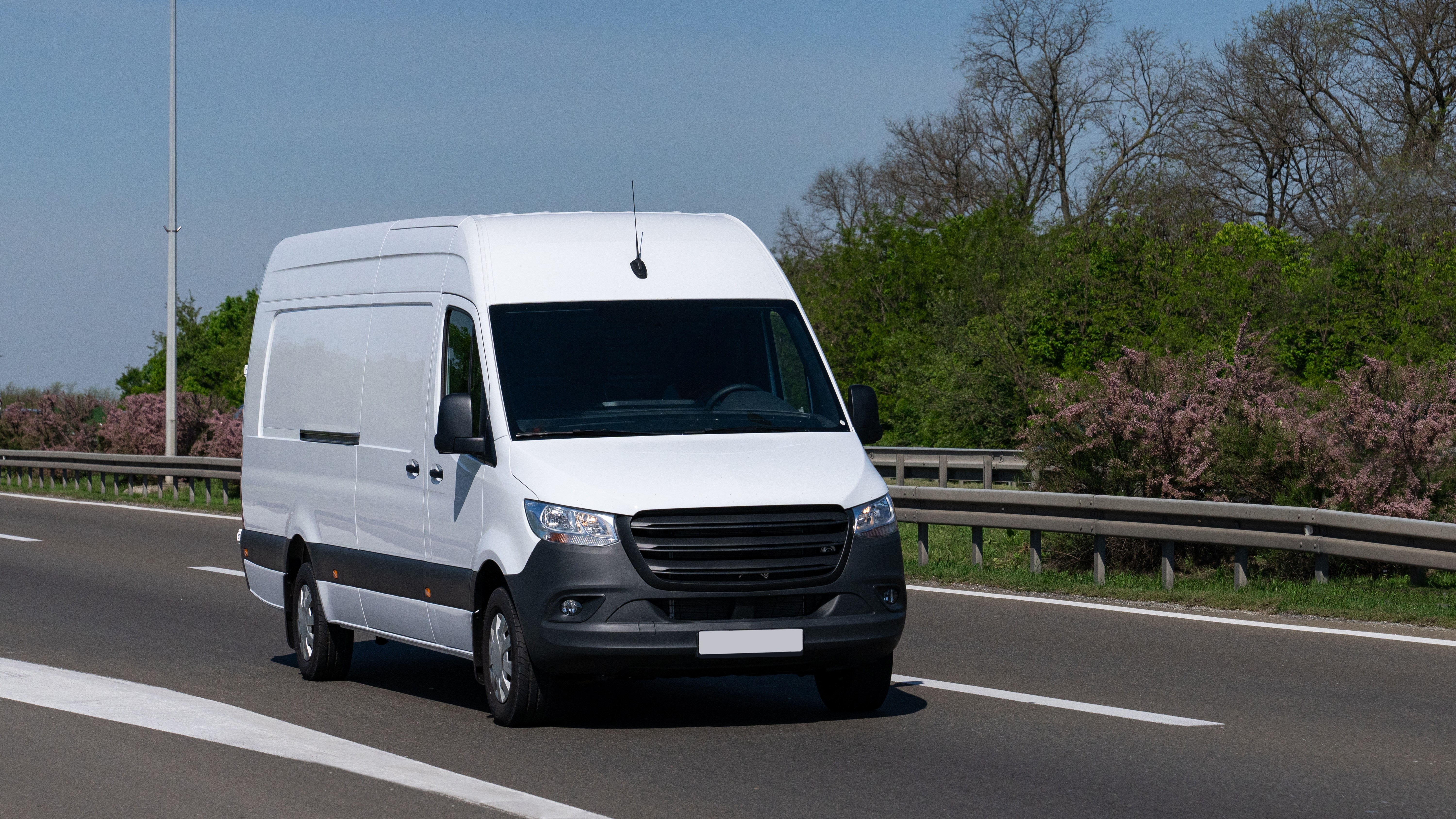 Foto: Scharfsinn / Shutterstock