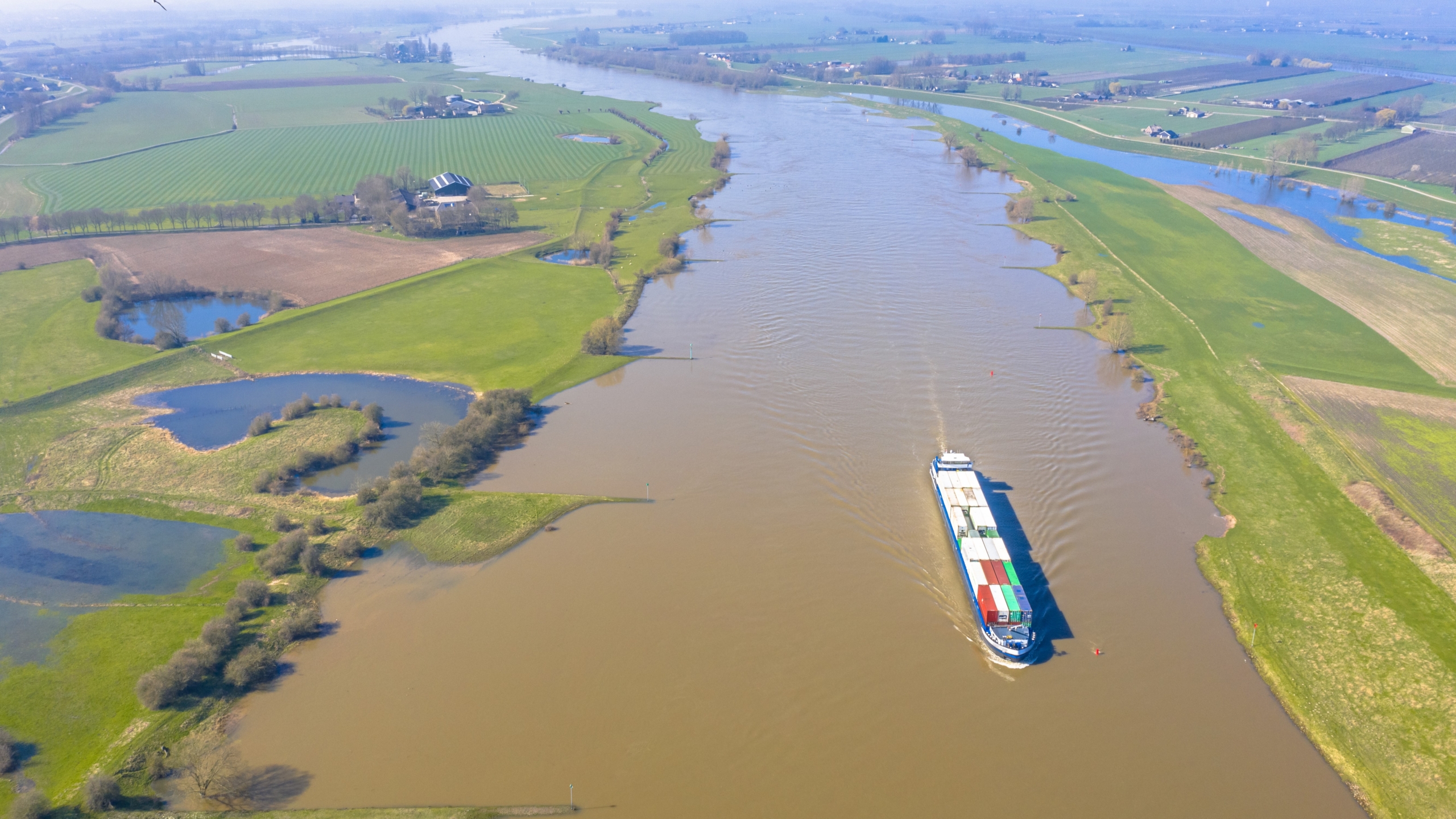 Foto: Rudmer Zwerver / Shutterstock