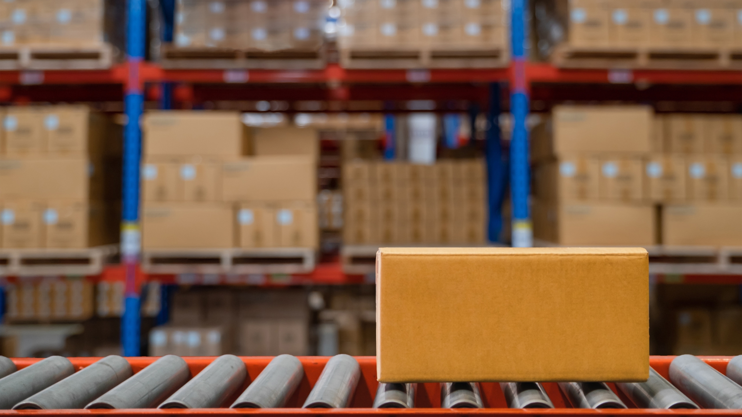 Foto: GolF2532 / Shutterstock