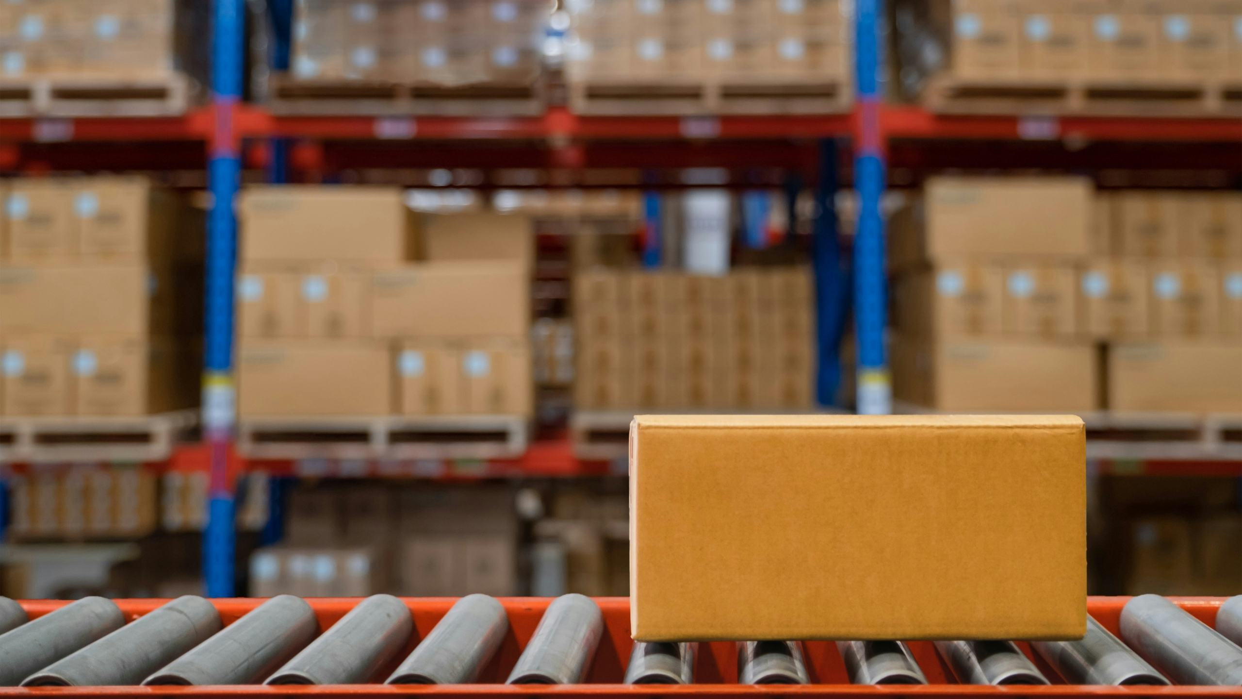 Foto: GolF2532 / Shutterstock