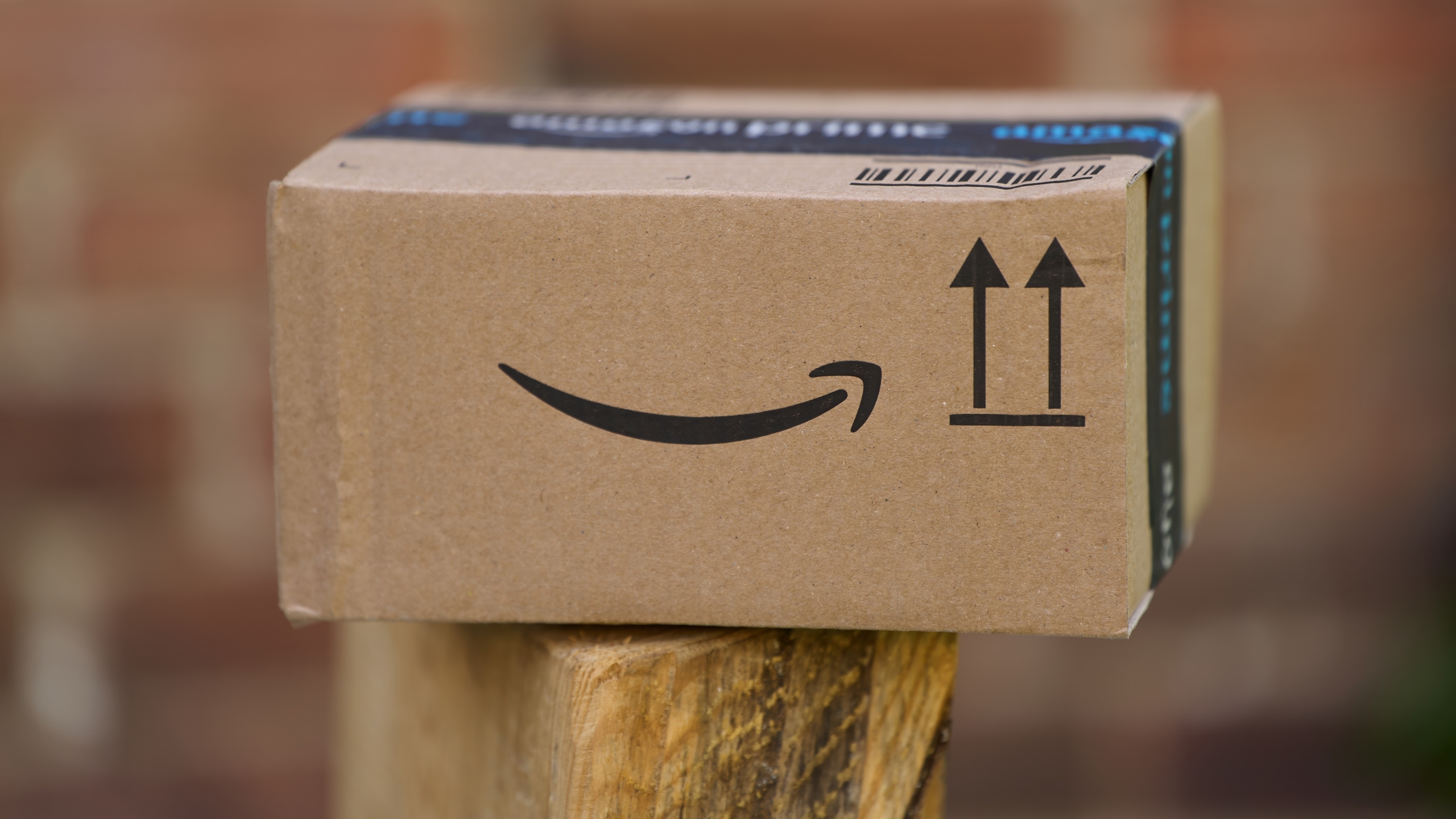 Foto: alexgo.photography / Shutterstock