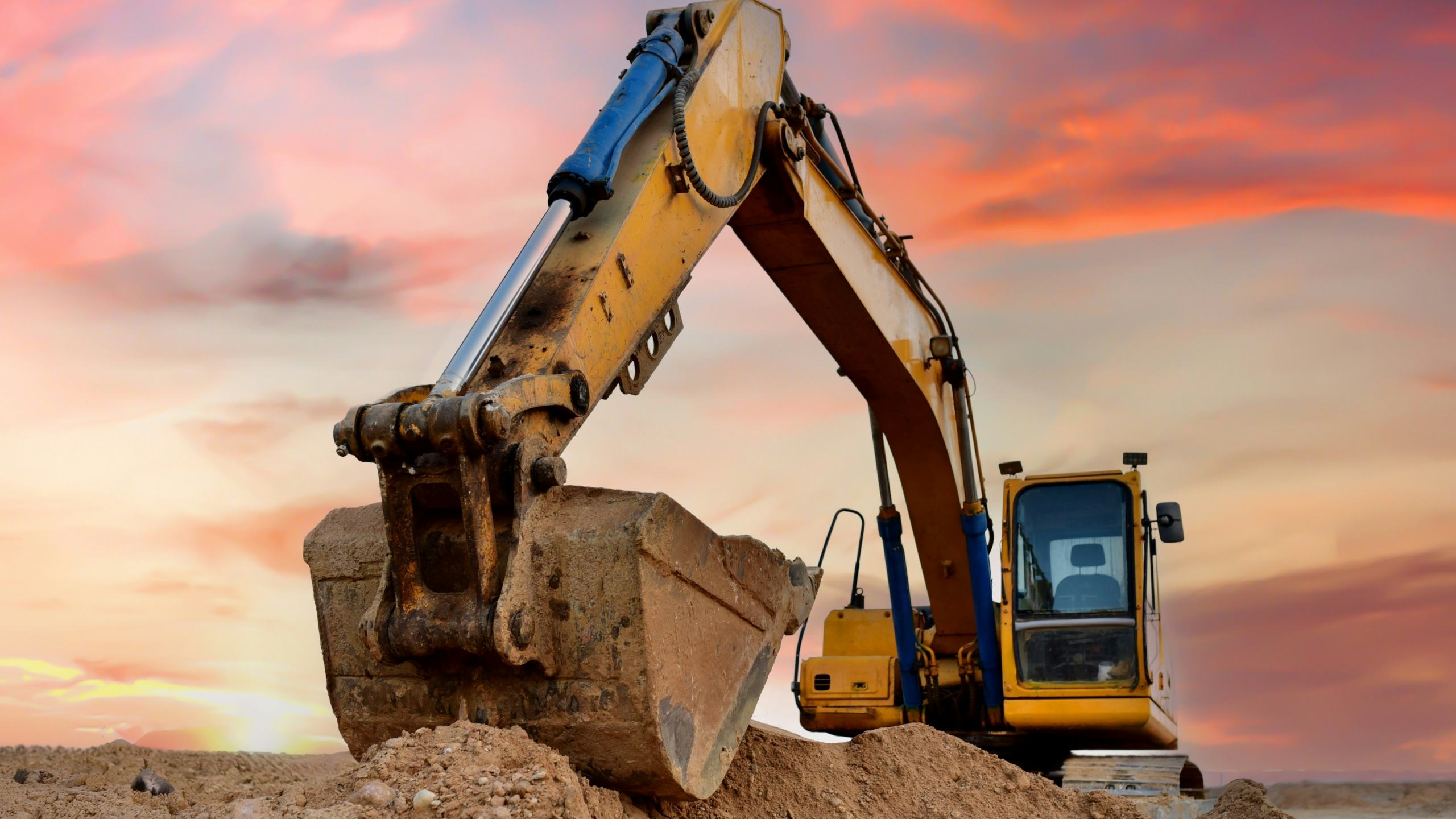 Foto: Maksim Safaniuk / Shutterstock