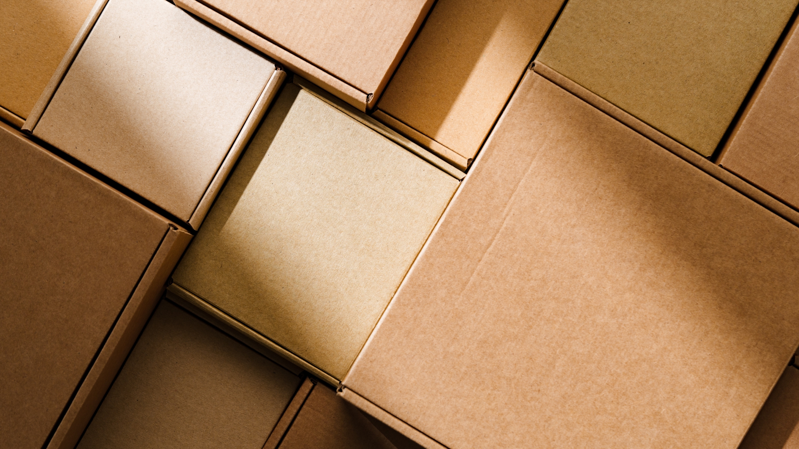 Foto: FabrikaSimf / Shutterstock