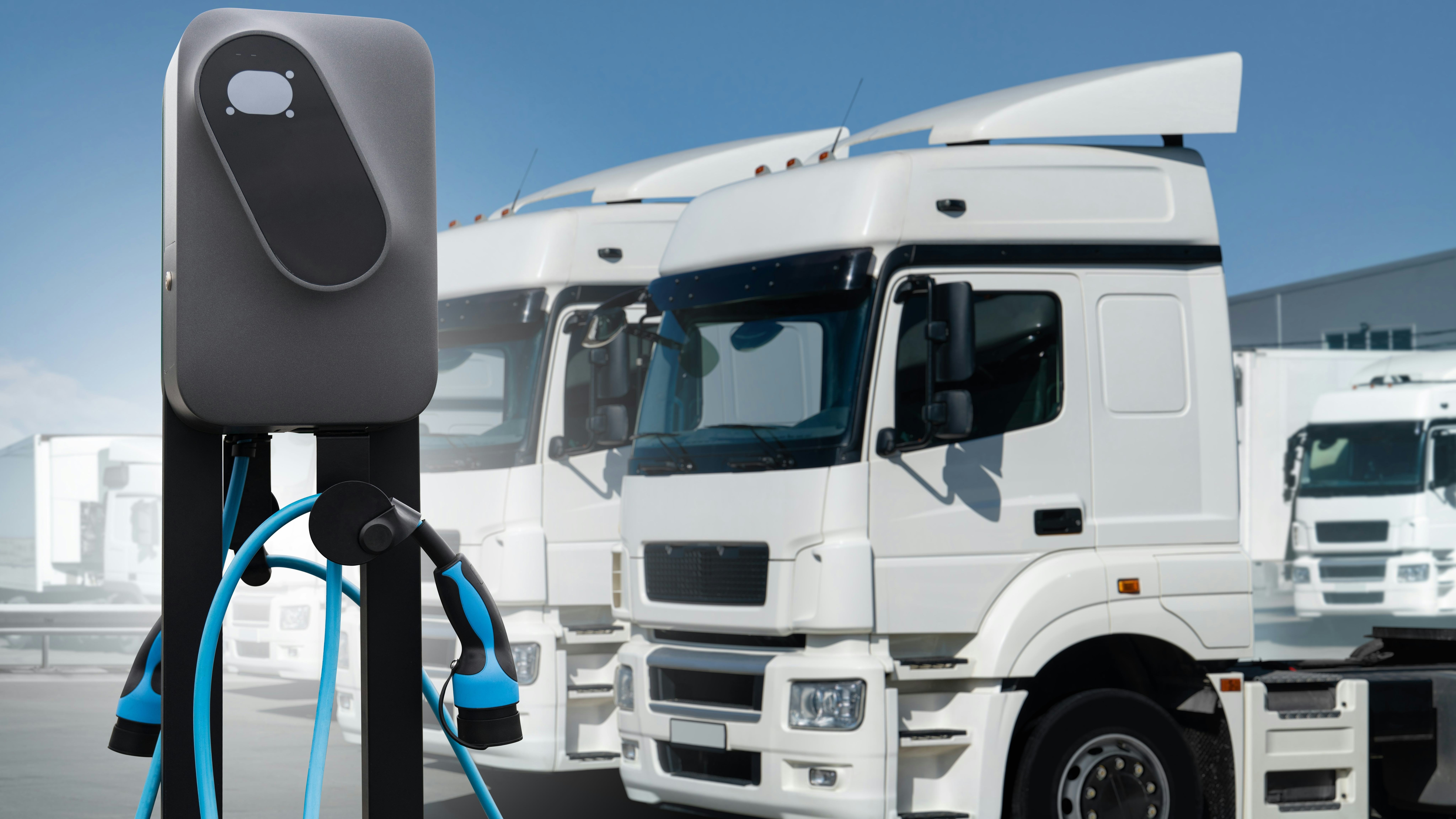 Foto: Scharfsinn / Shutterstock