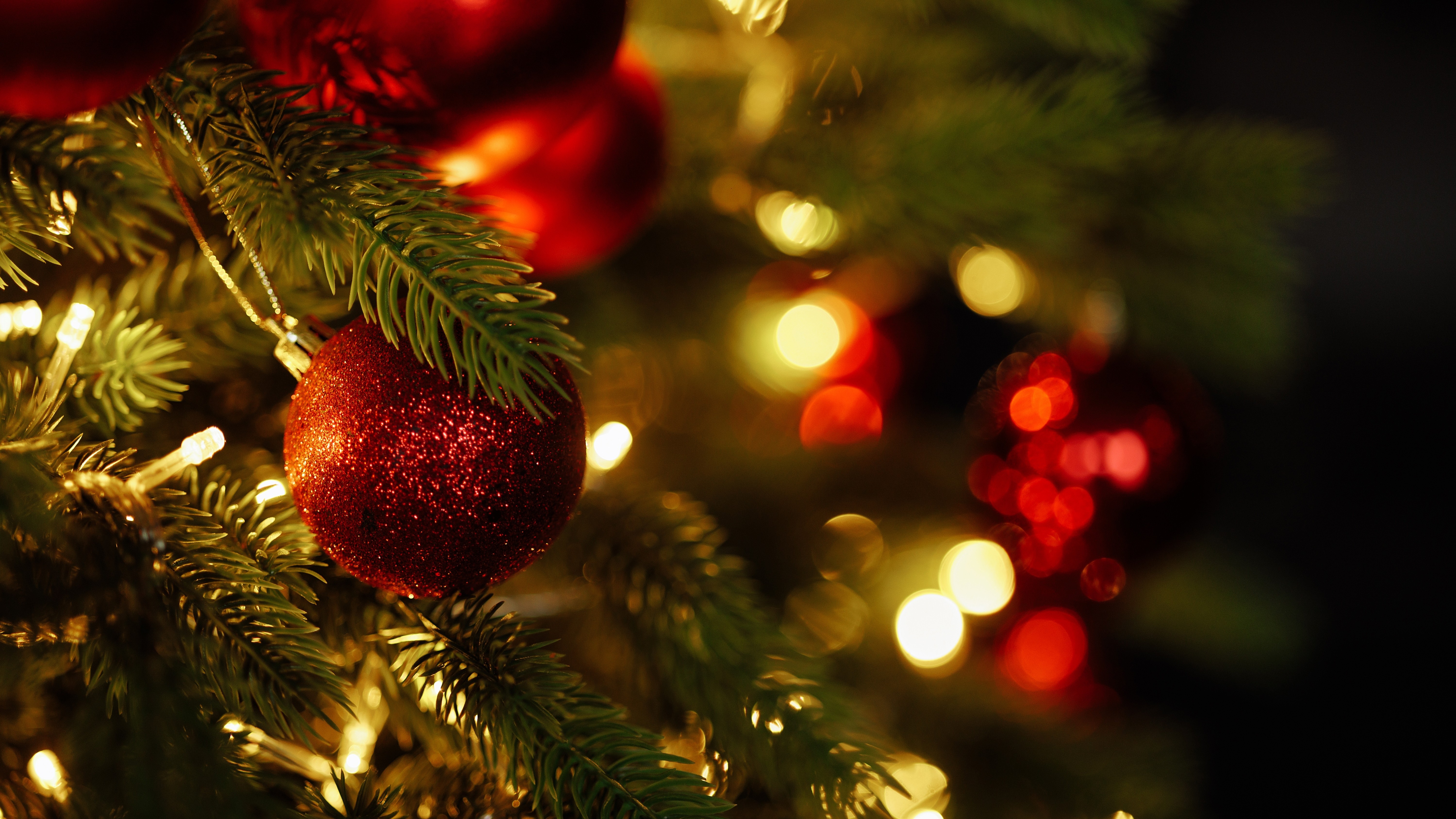 Foto: Kaplitskaia Love / Shutterstock