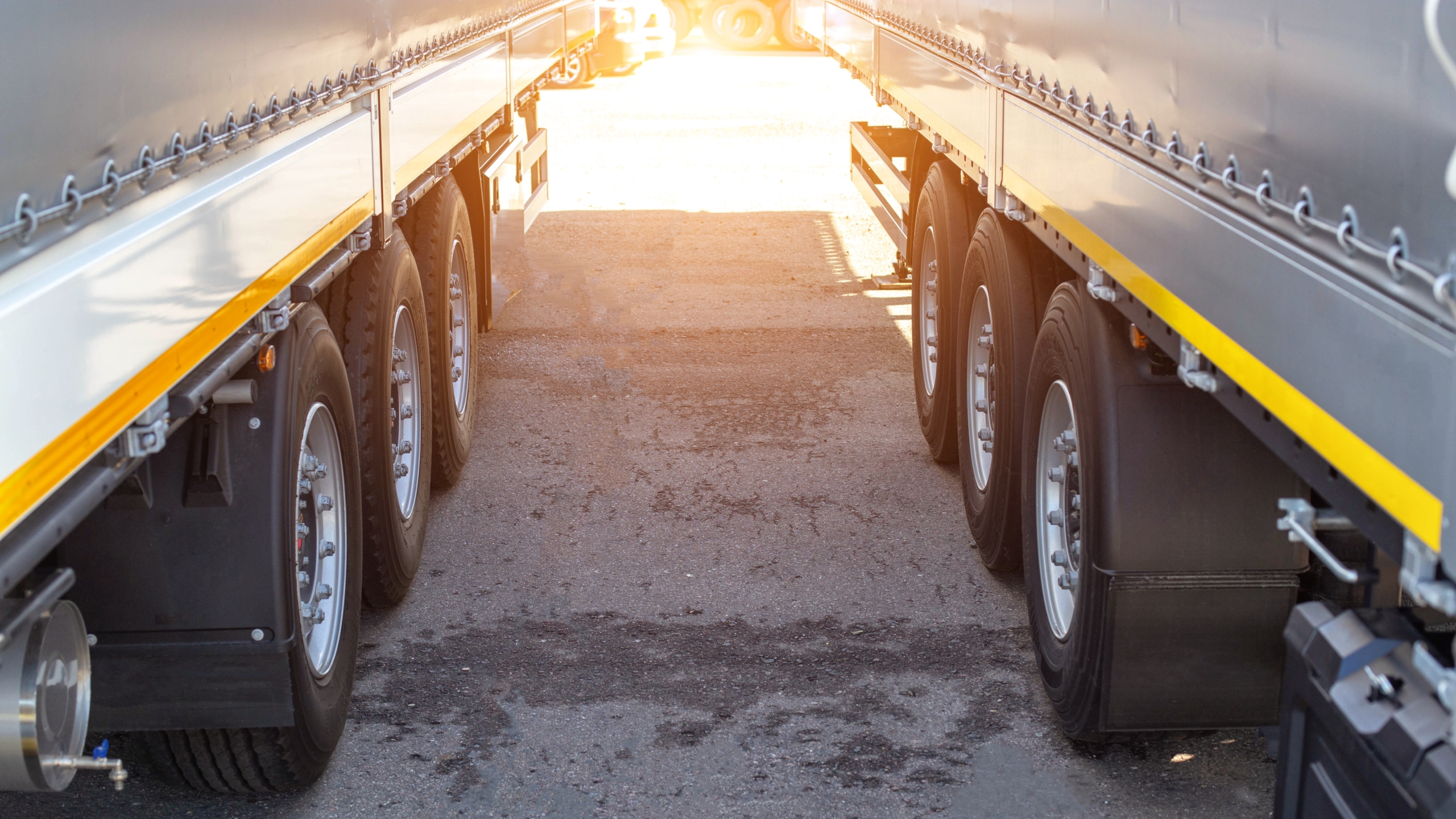 Foto: HenadziPechan / Shutterstock