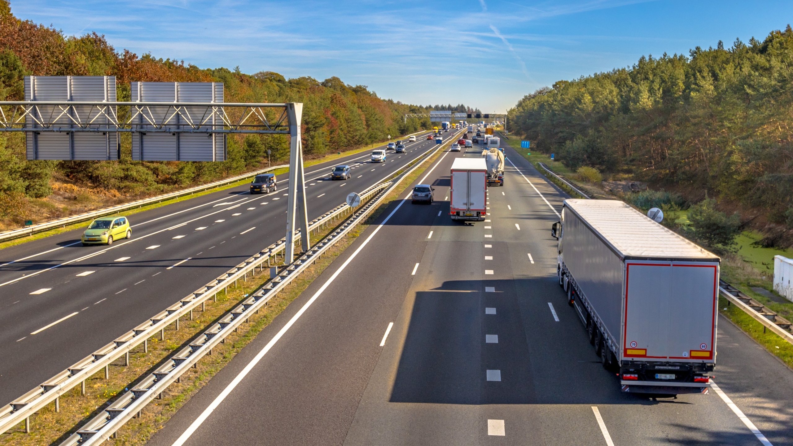 Foto: Rudmer Zwerver / Shutterstock