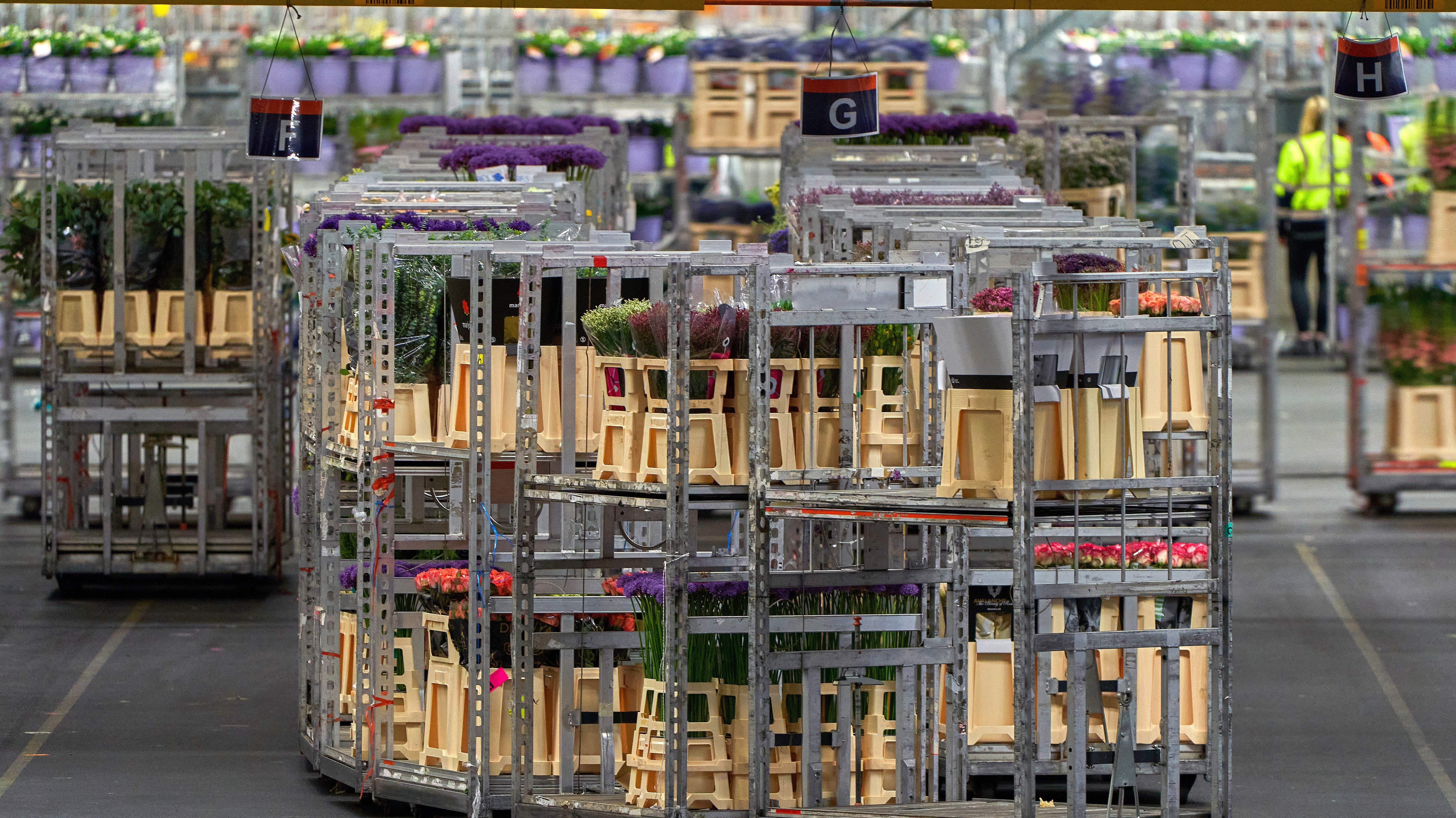 Foto: Yuri Turkov / Shutterstock