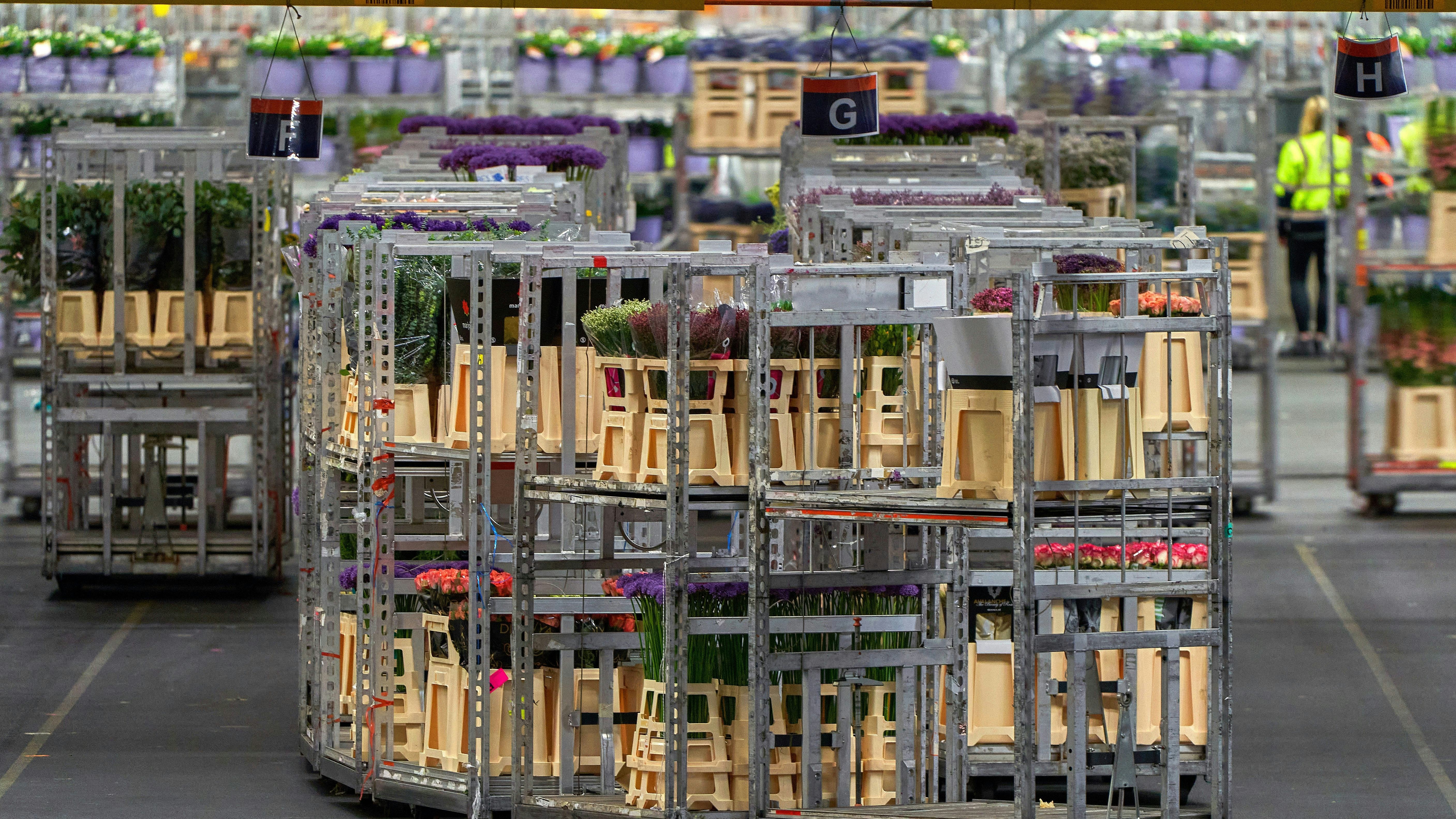 Foto: Yuri Turkov / Shutterstock