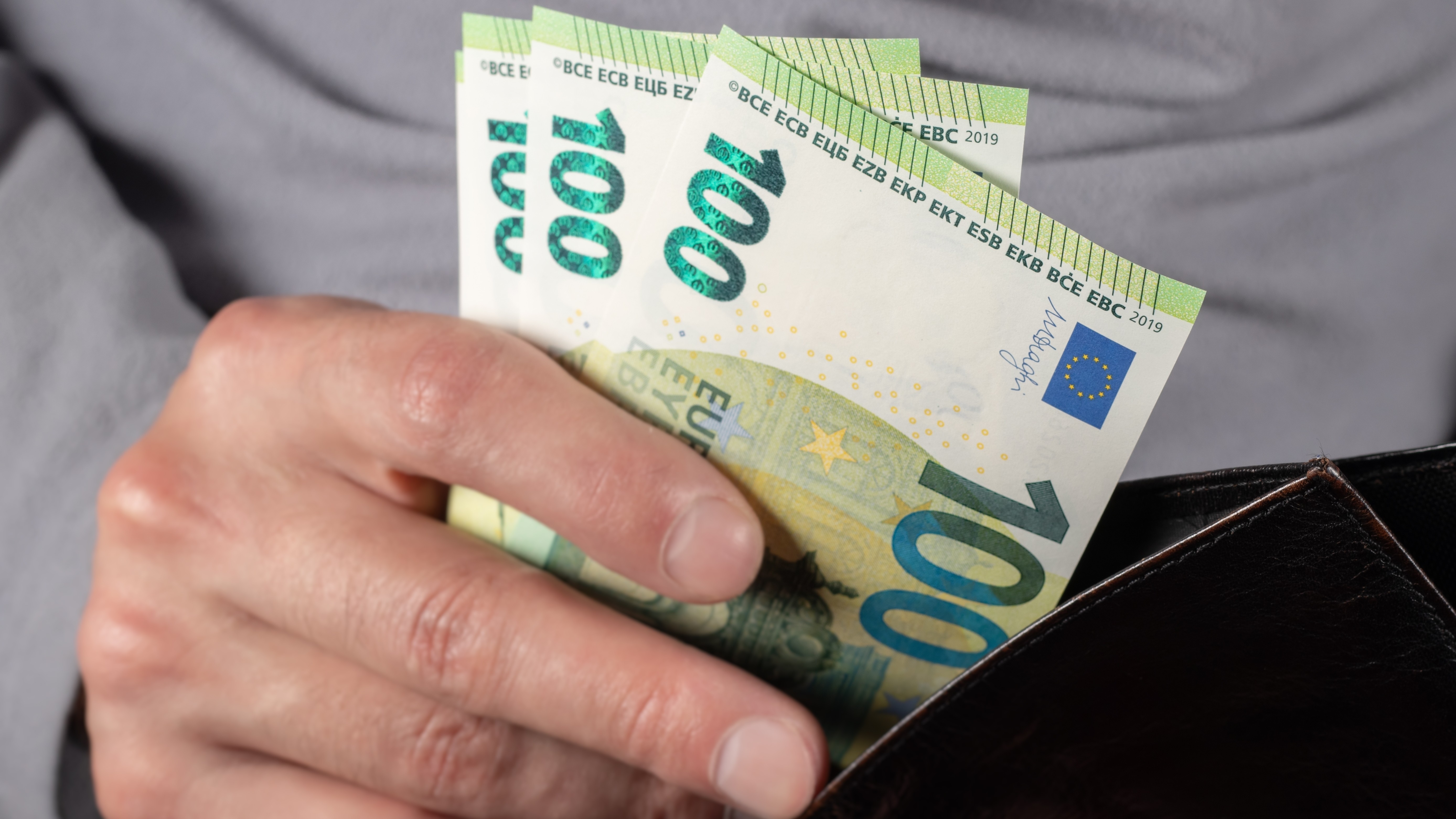 Foto: Skrypnykov Dmytro / Shutterstock