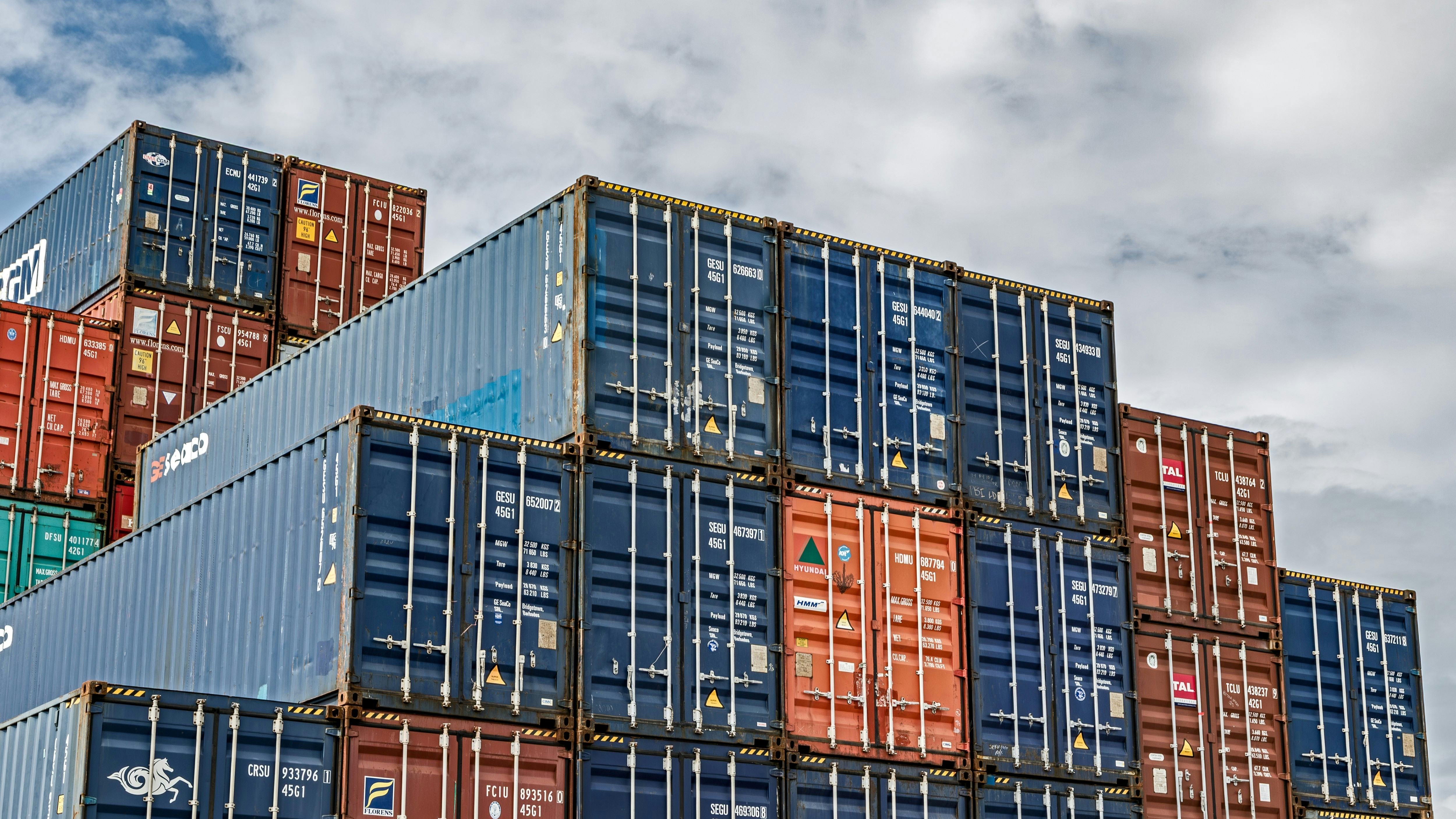 Foto: VanderWolf Images / Shutterstock