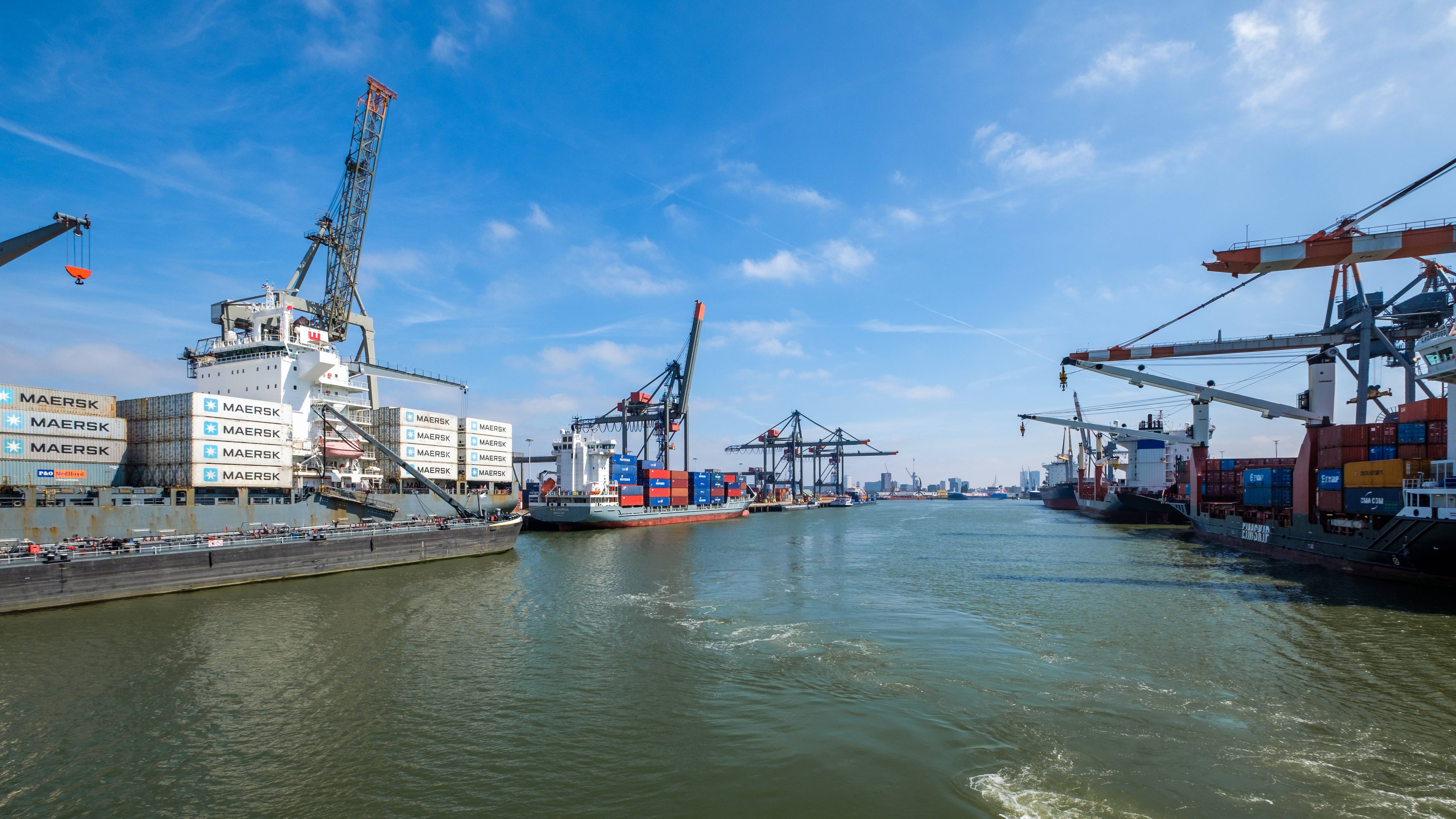 Foto: Frank Cornelissen / Shutterstock