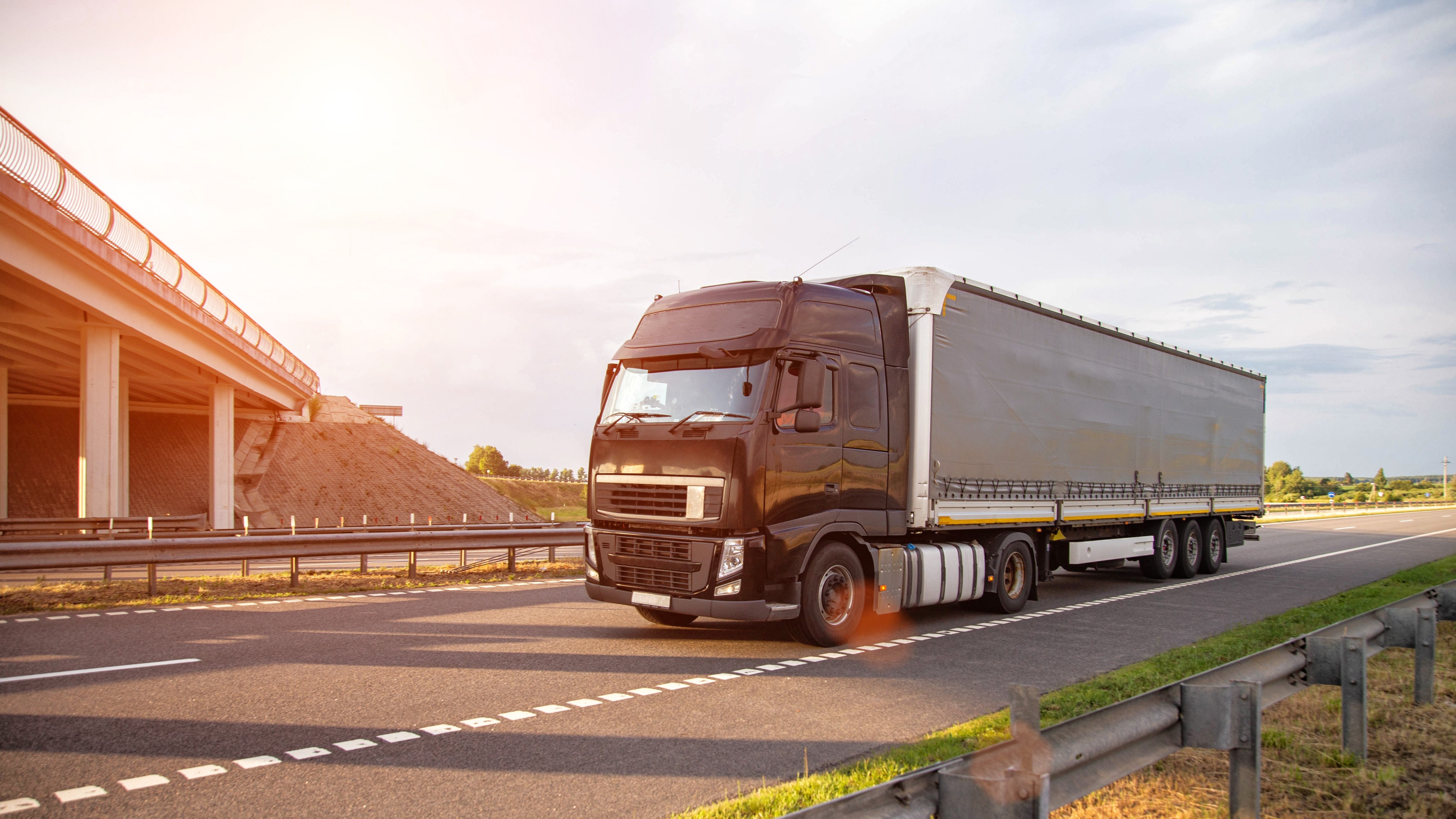 Foto: HenadziPechan / Shutterstock