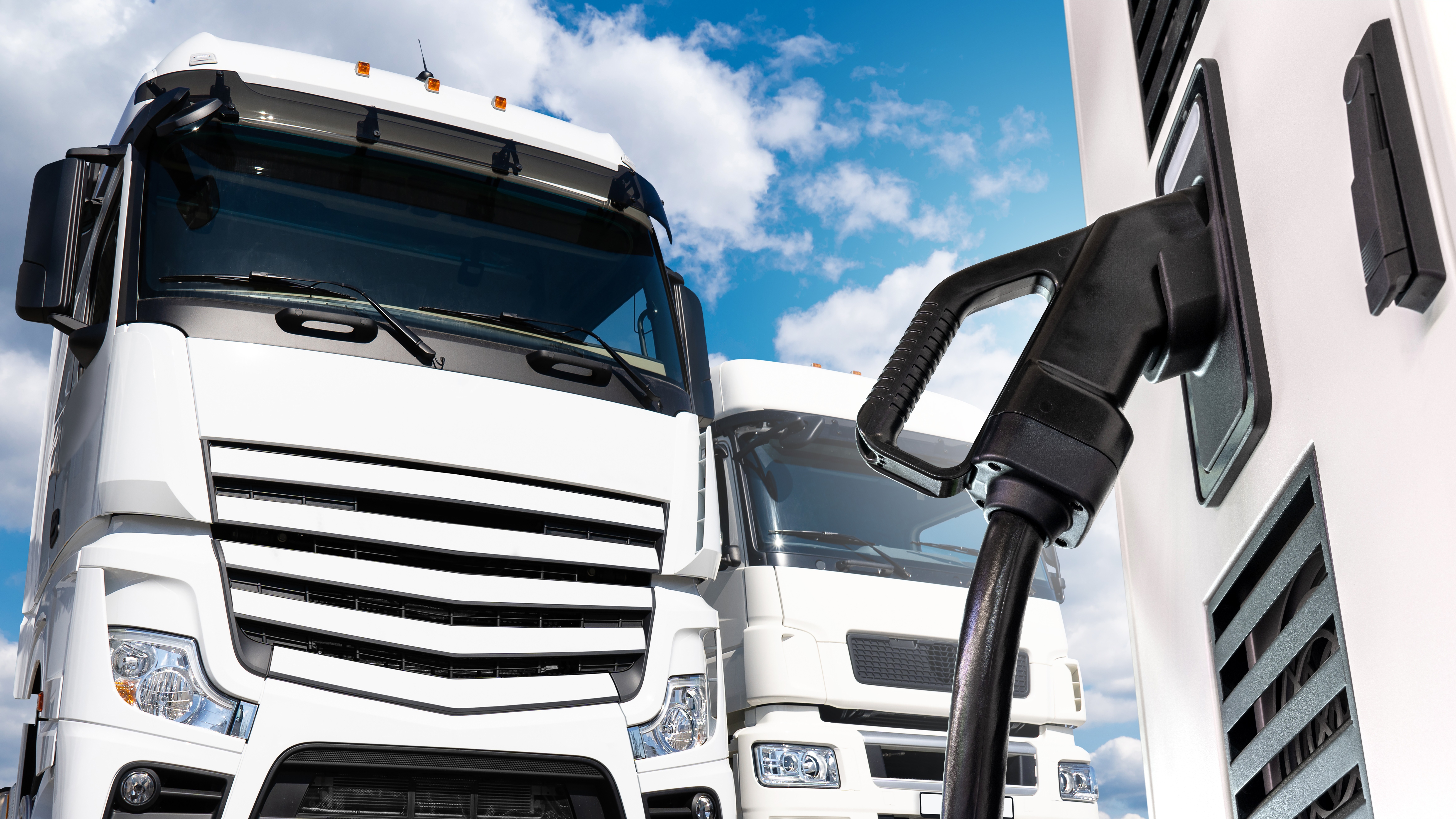 Foto: Scharfsinn / Shutterstock