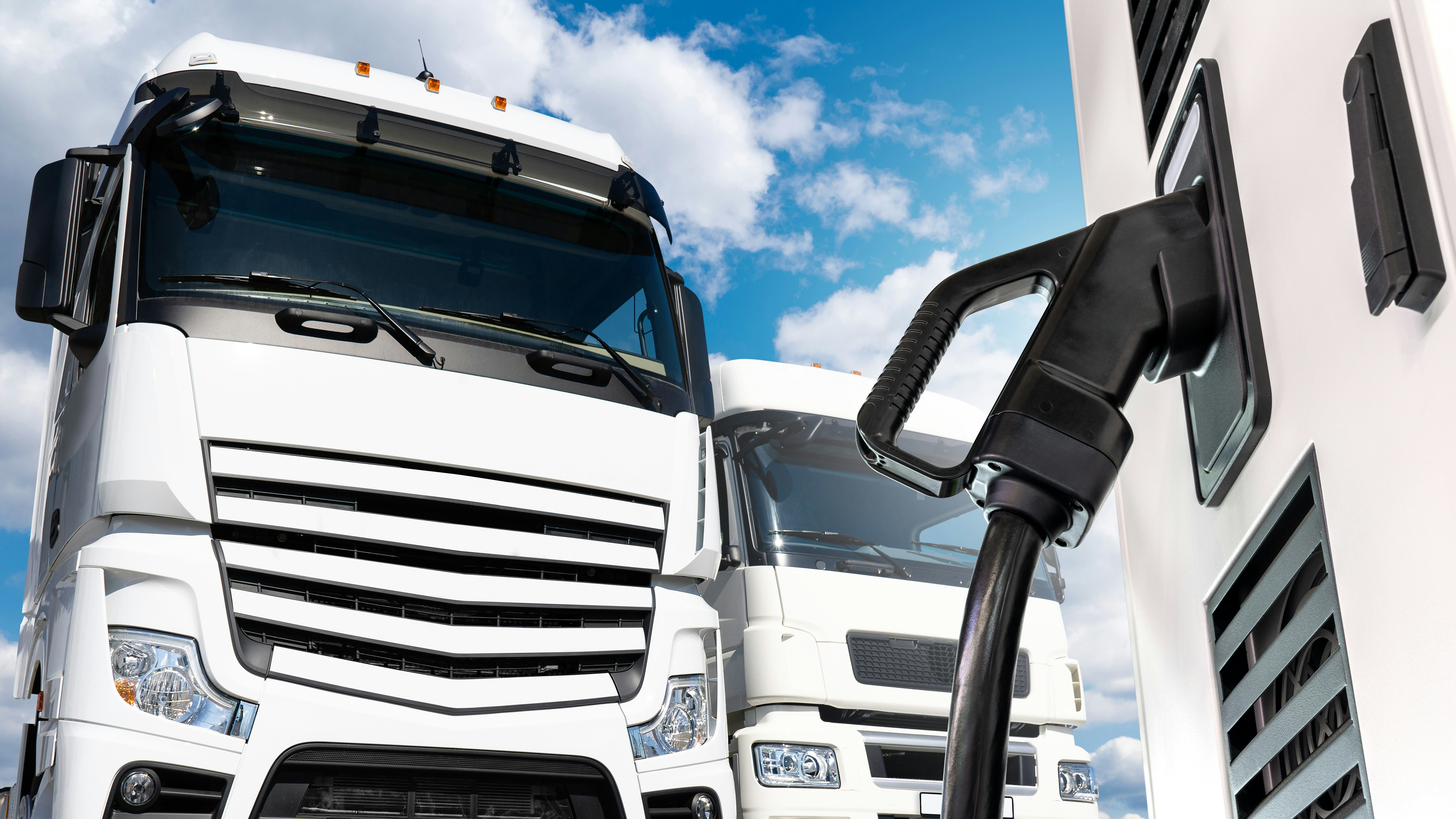 Foto: Scharfsinn / Shutterstock